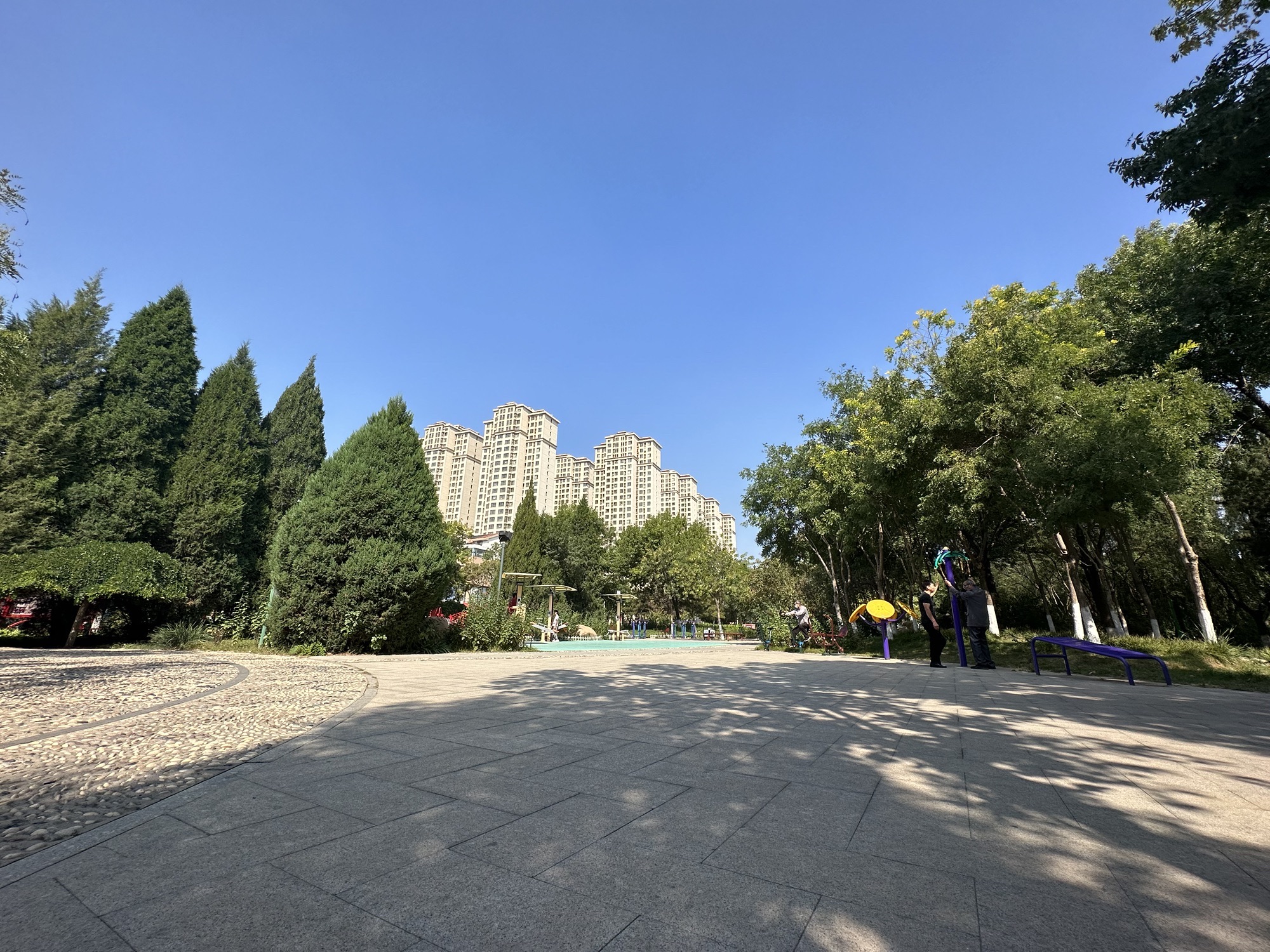 玉带公园旅行图片 2