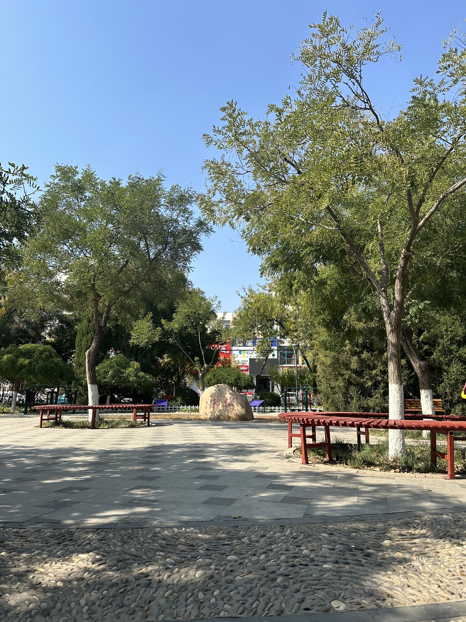 玉带公园旅行图片 3