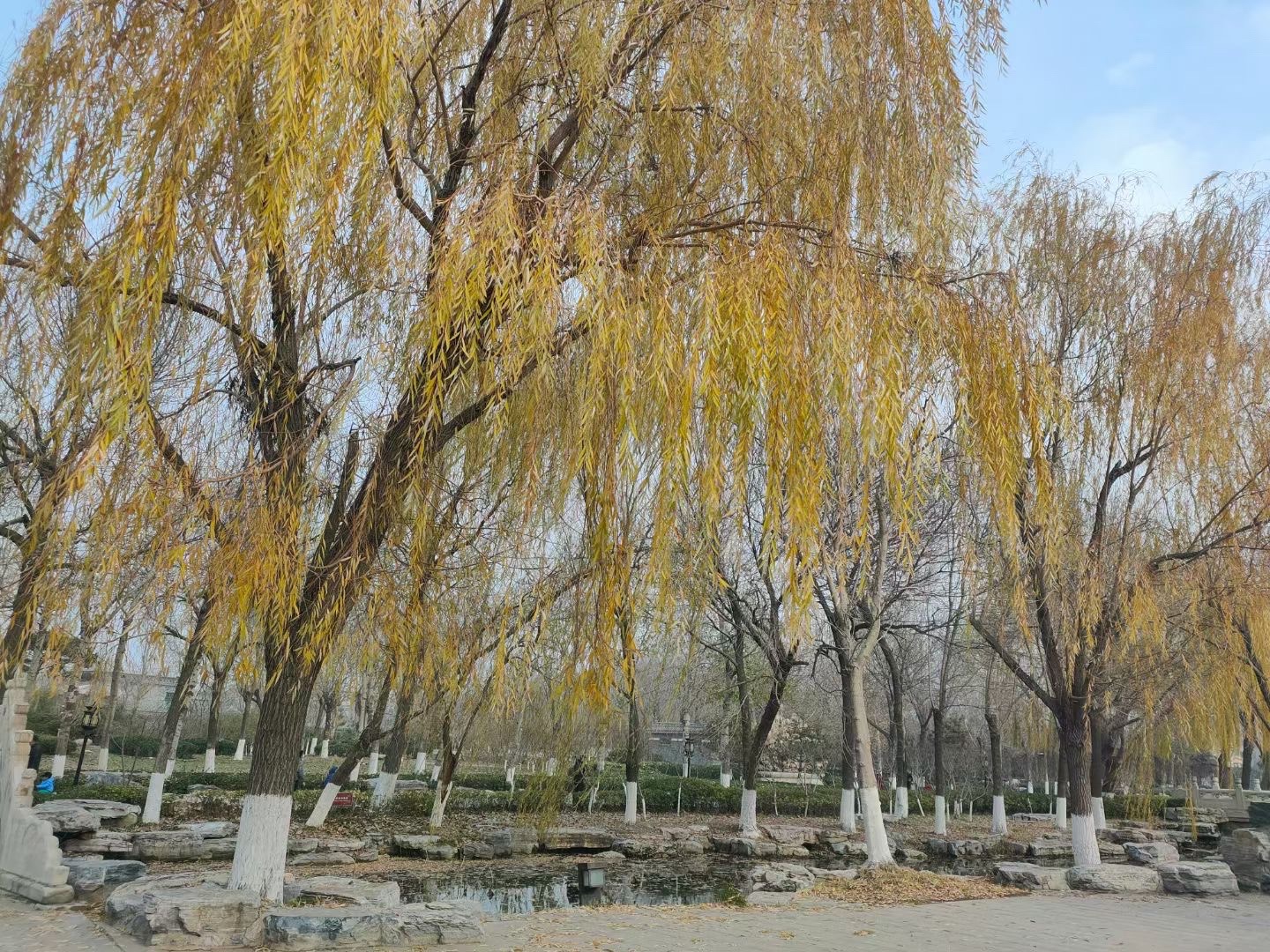 宁园旅行图片 1