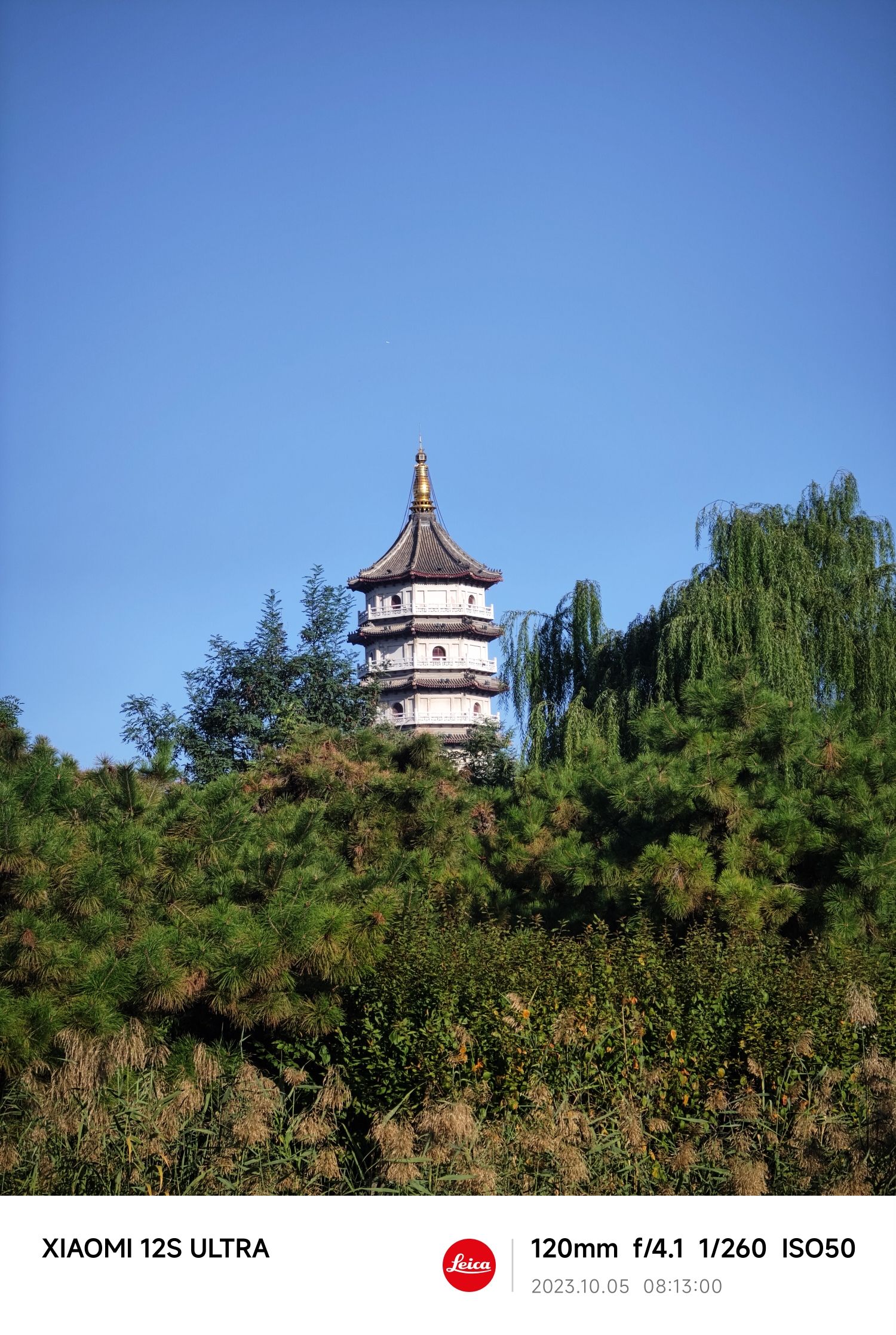 宁园旅行图片 3