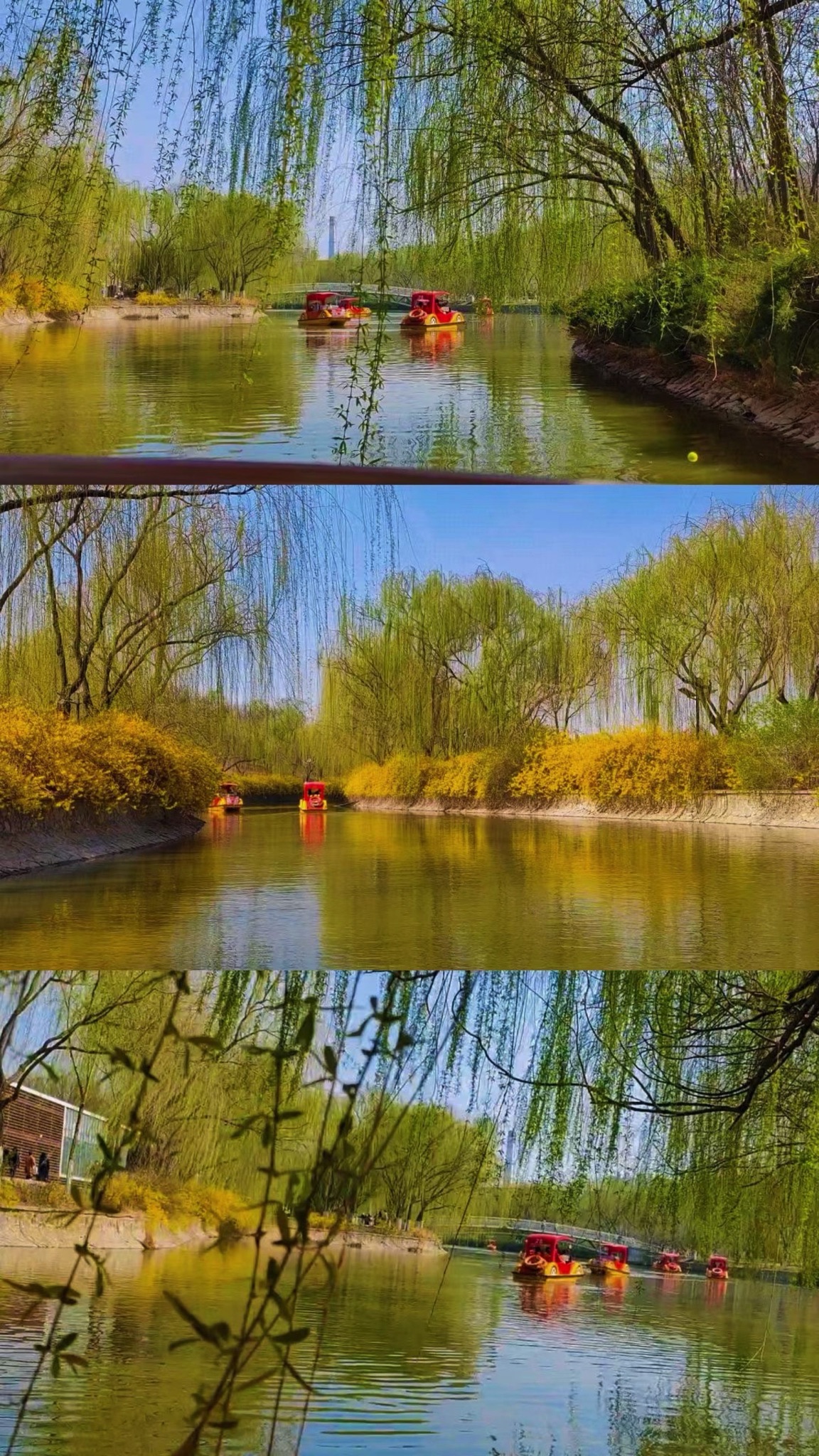 南翠屏公园旅行图片 1