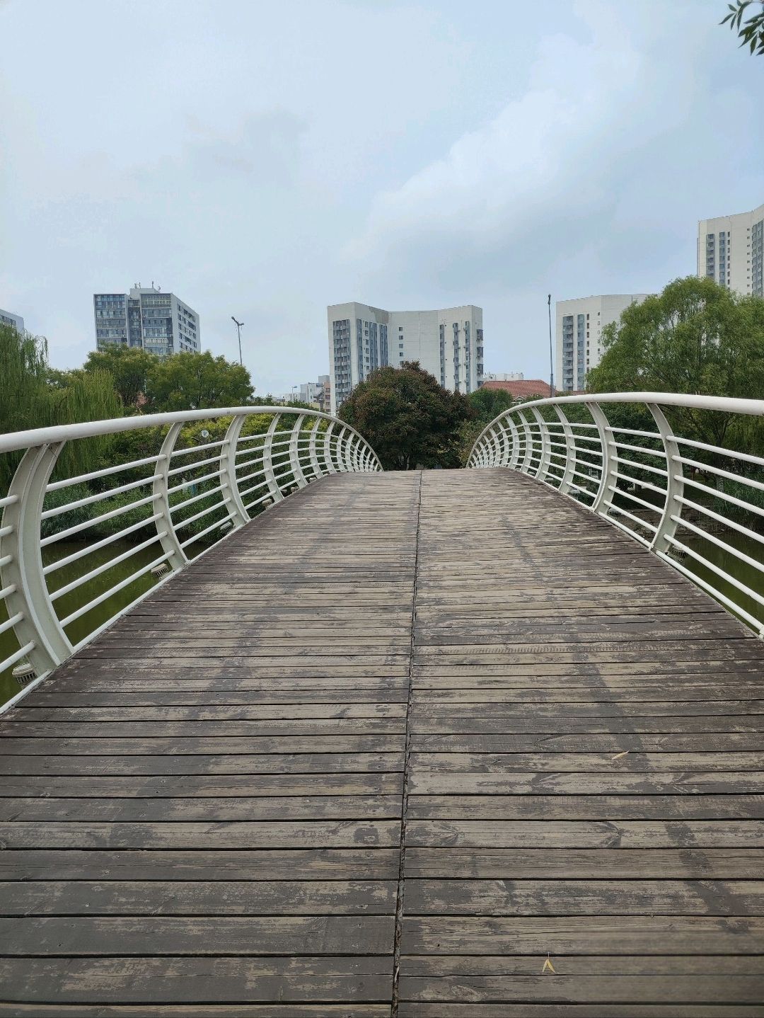 南翠屏公园旅行图片 2