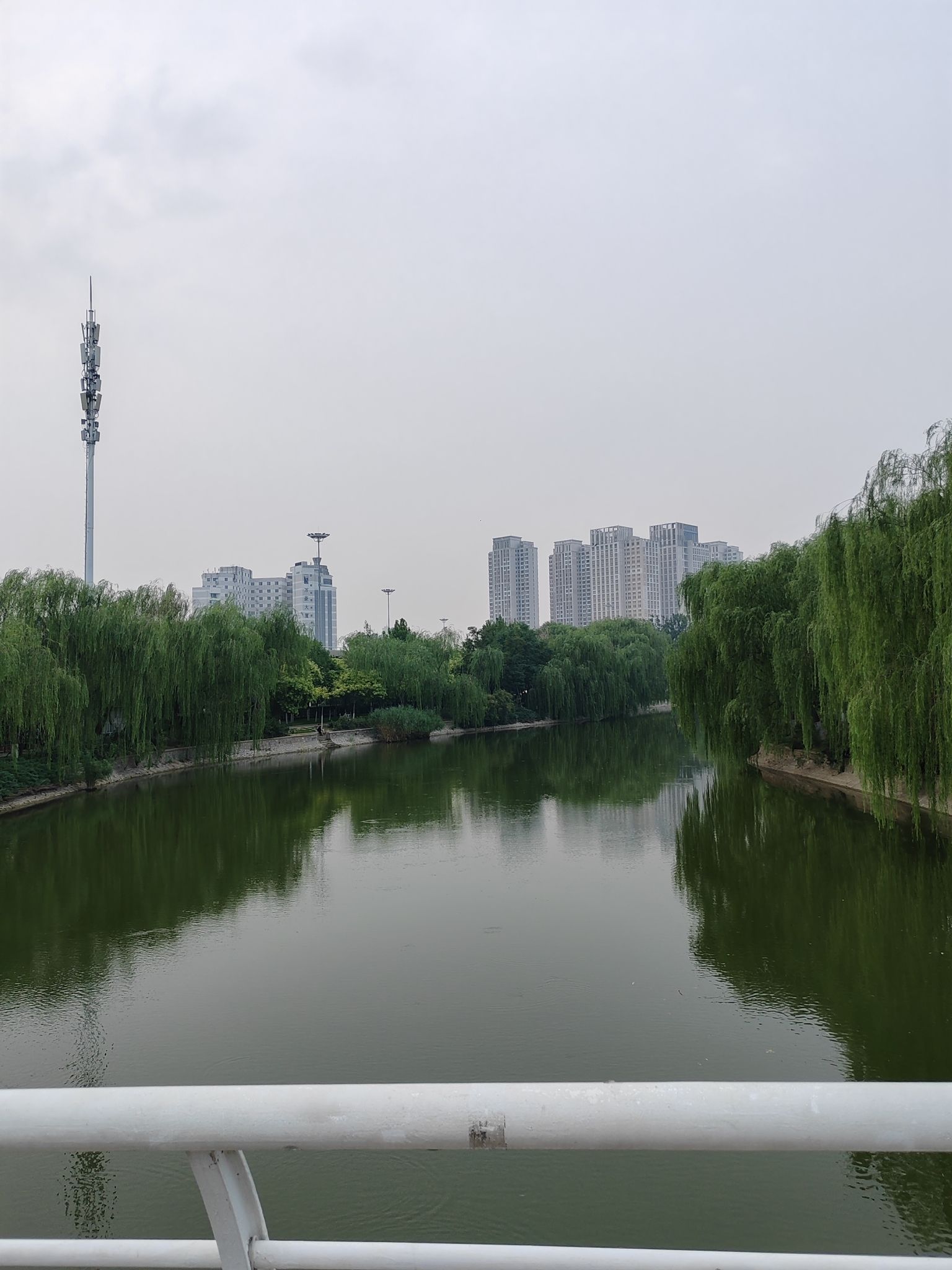 南翠屏公园旅行图片 2