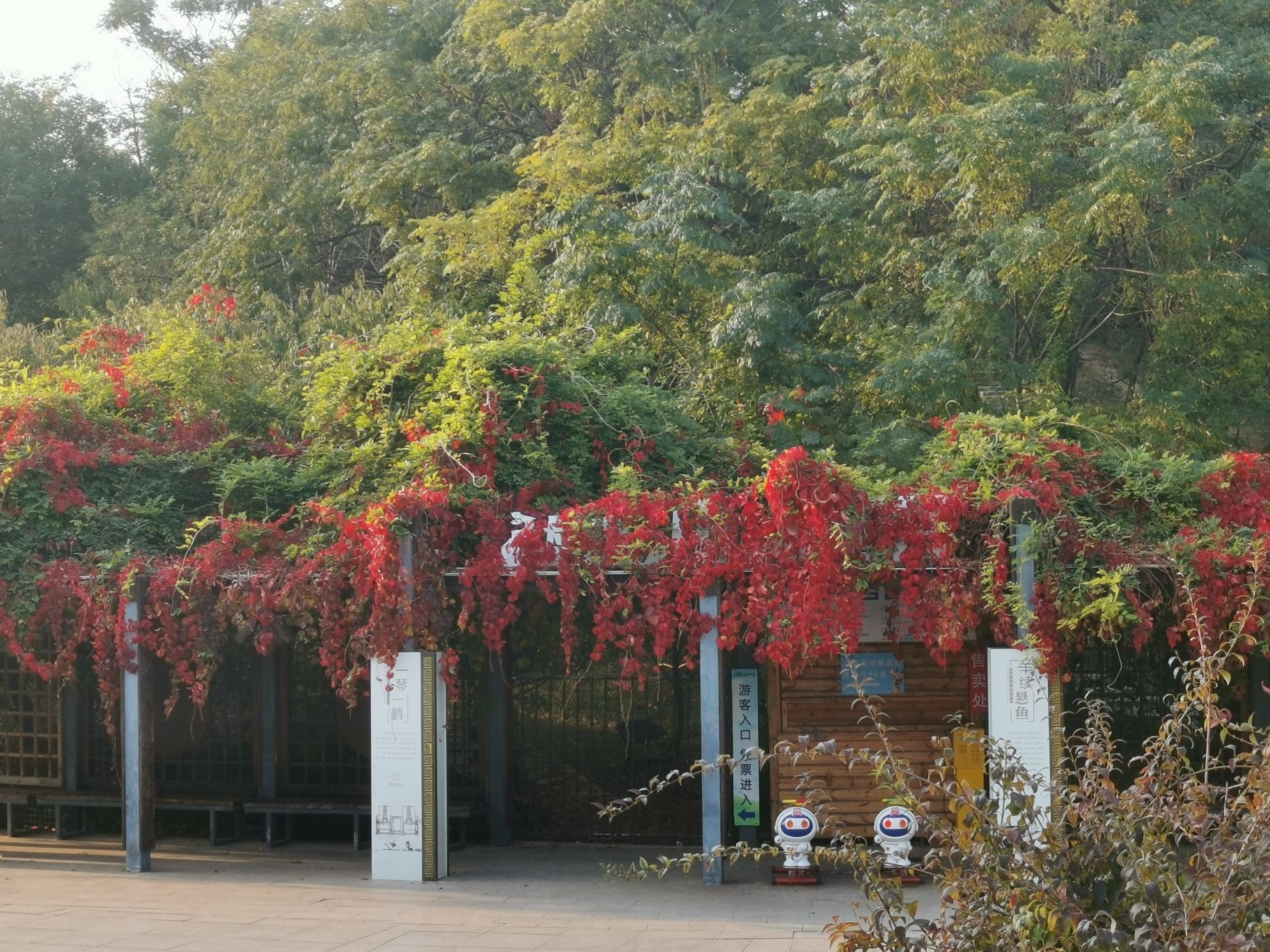 南翠屏公园旅行图片 2