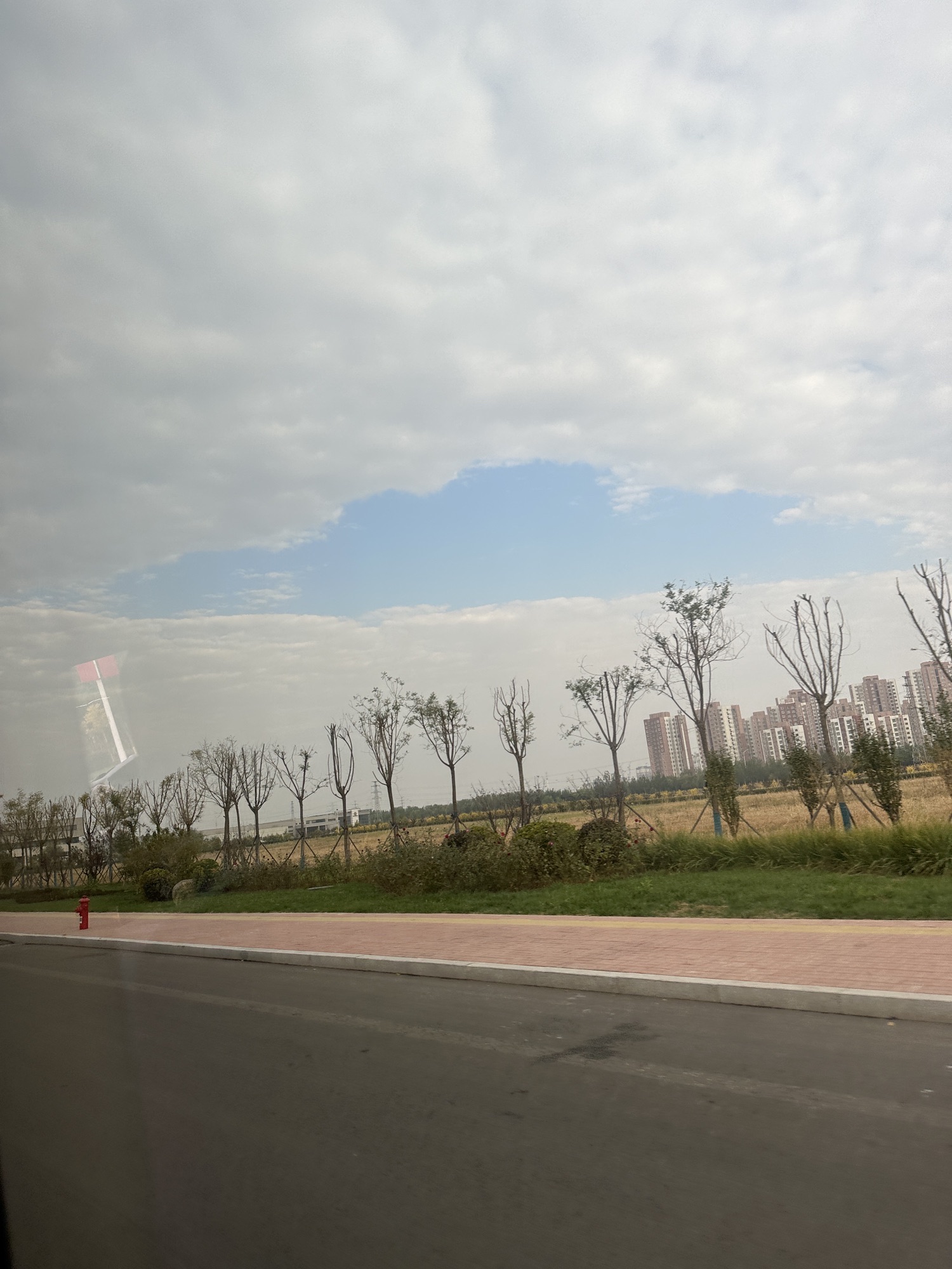 滨海湖公园旅行图片 1