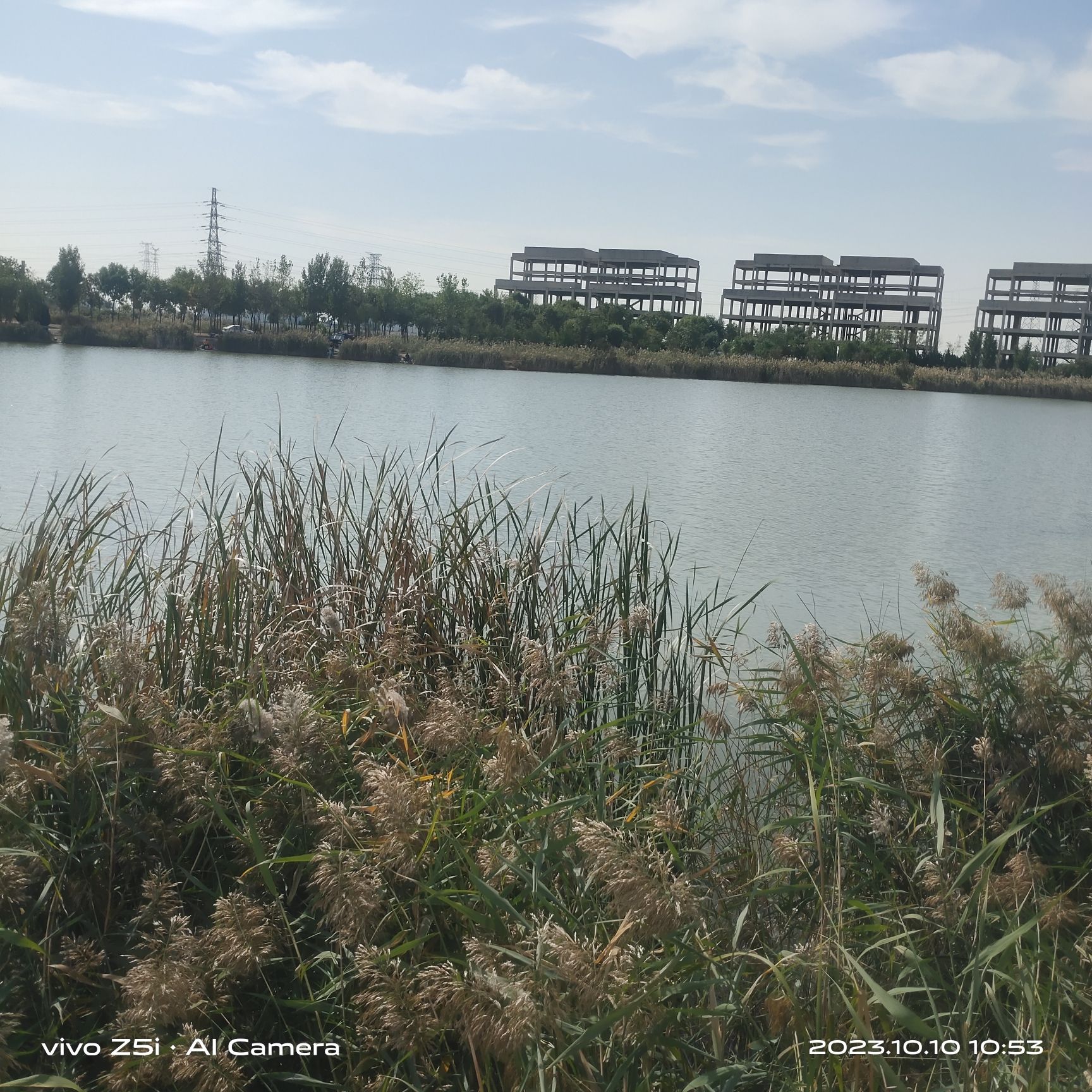 滨海湖公园旅行图片 3