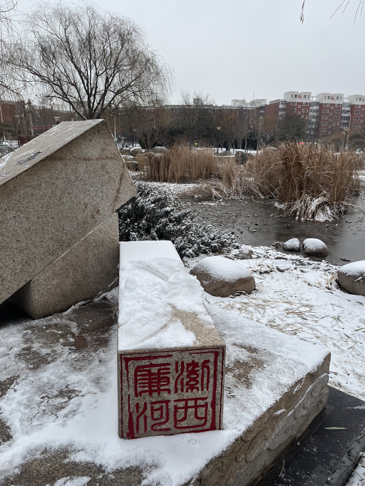 西柳公园旅行图片 1