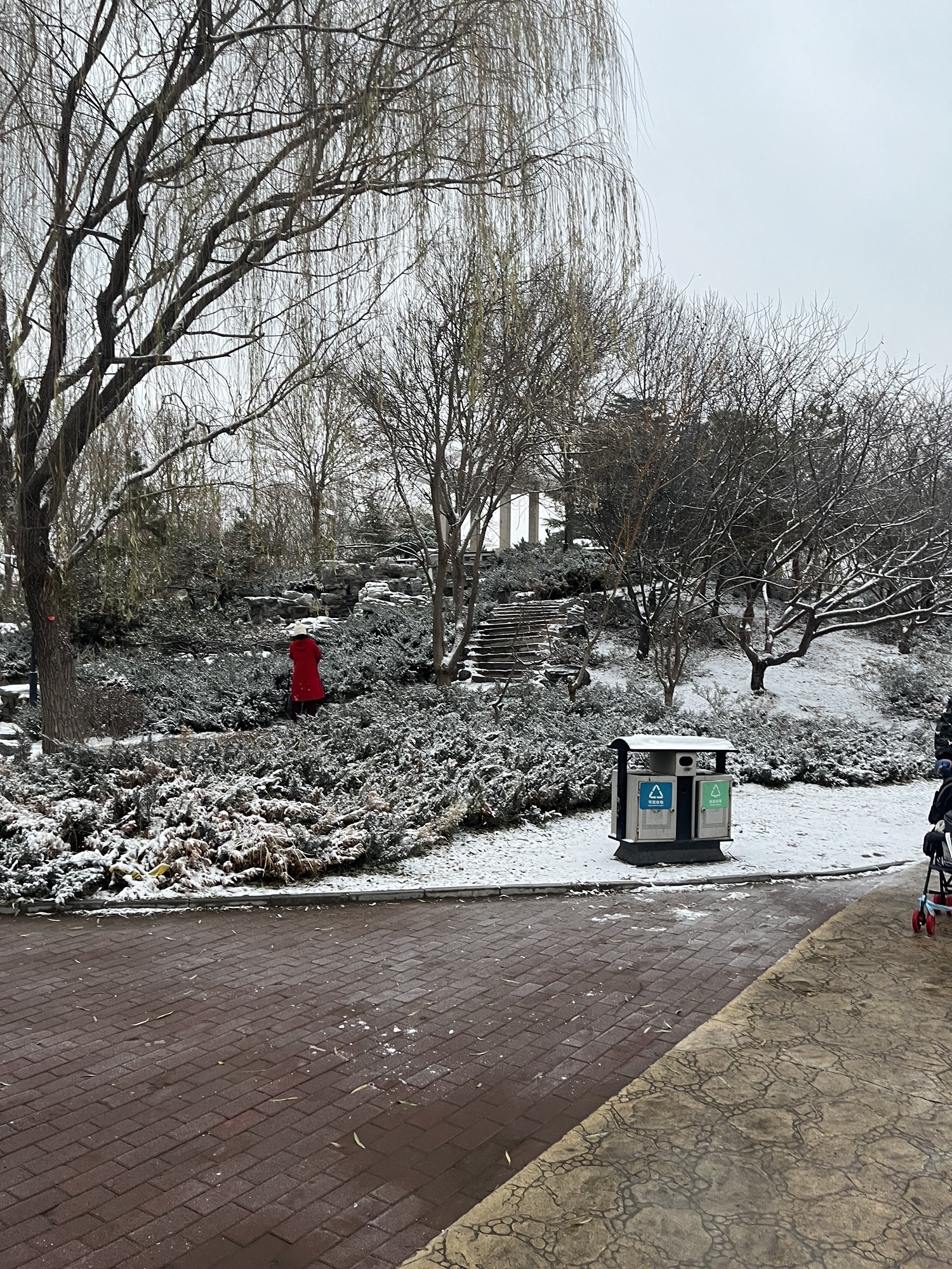 西柳公园旅行图片 2