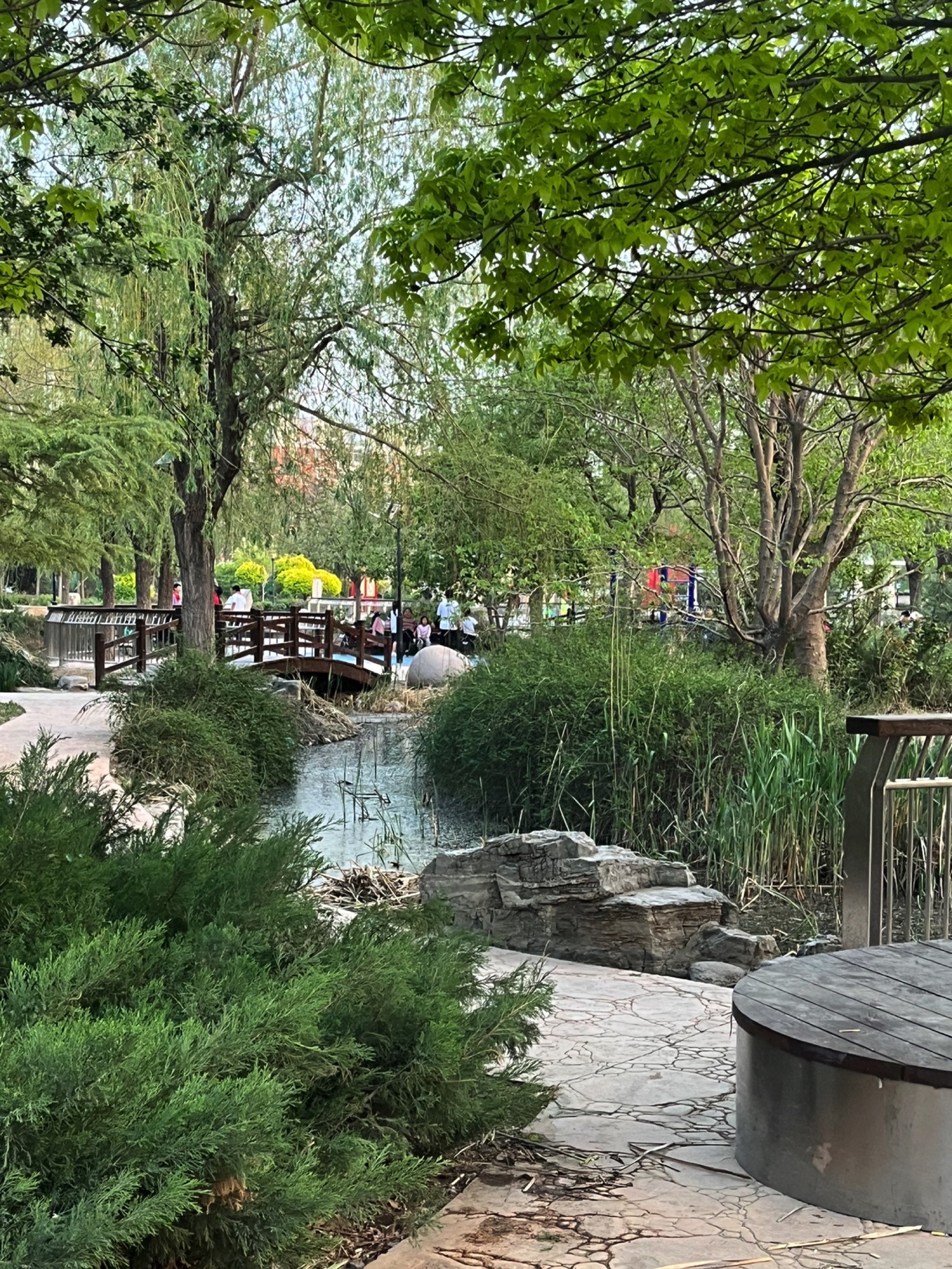 西柳公园旅行图片 1