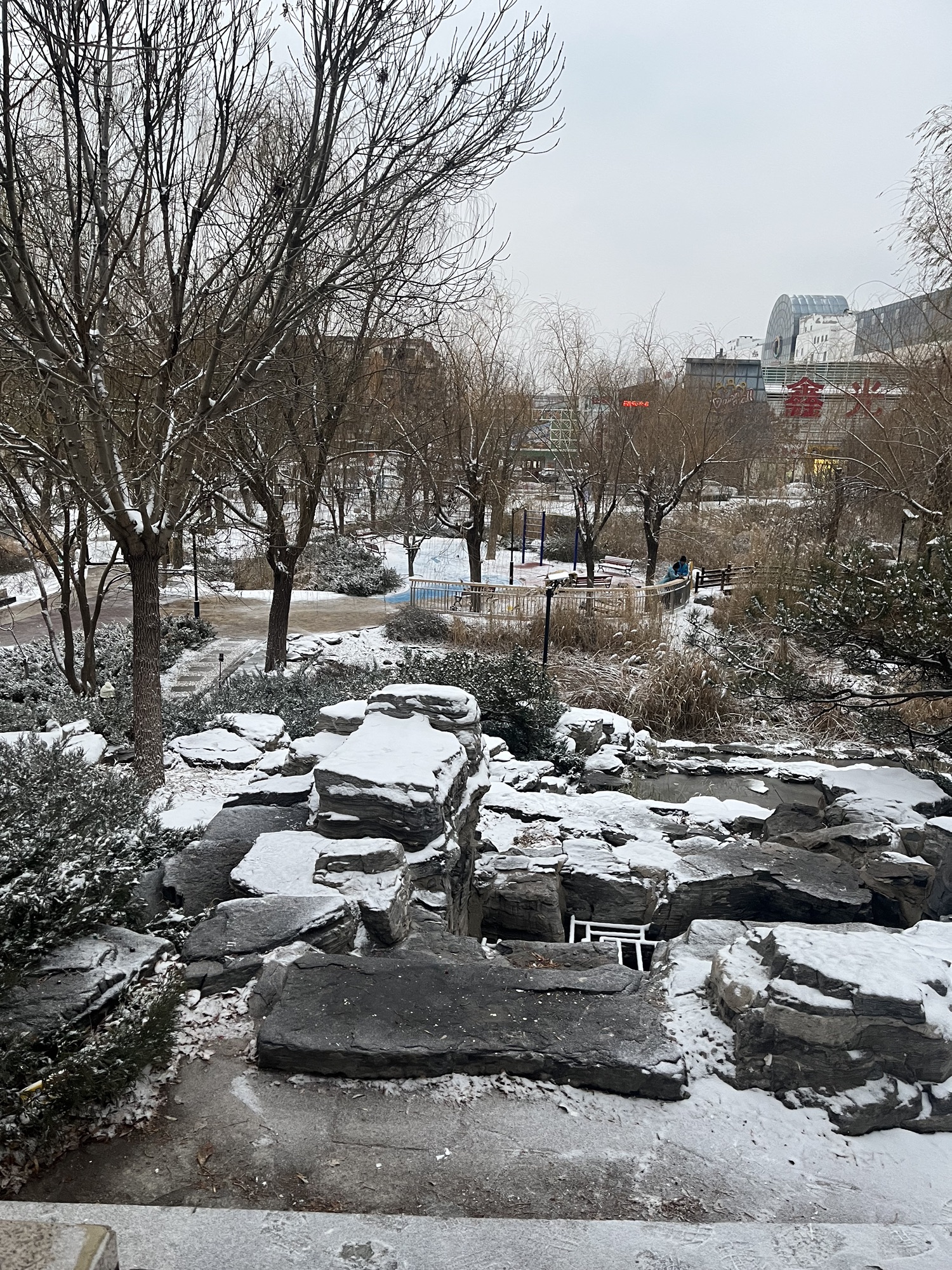 西柳公园旅行图片 2