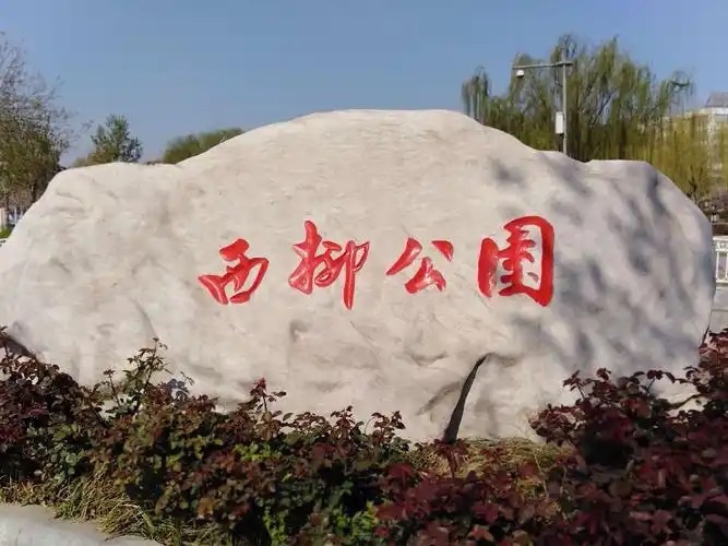 西柳公园旅行图片 1