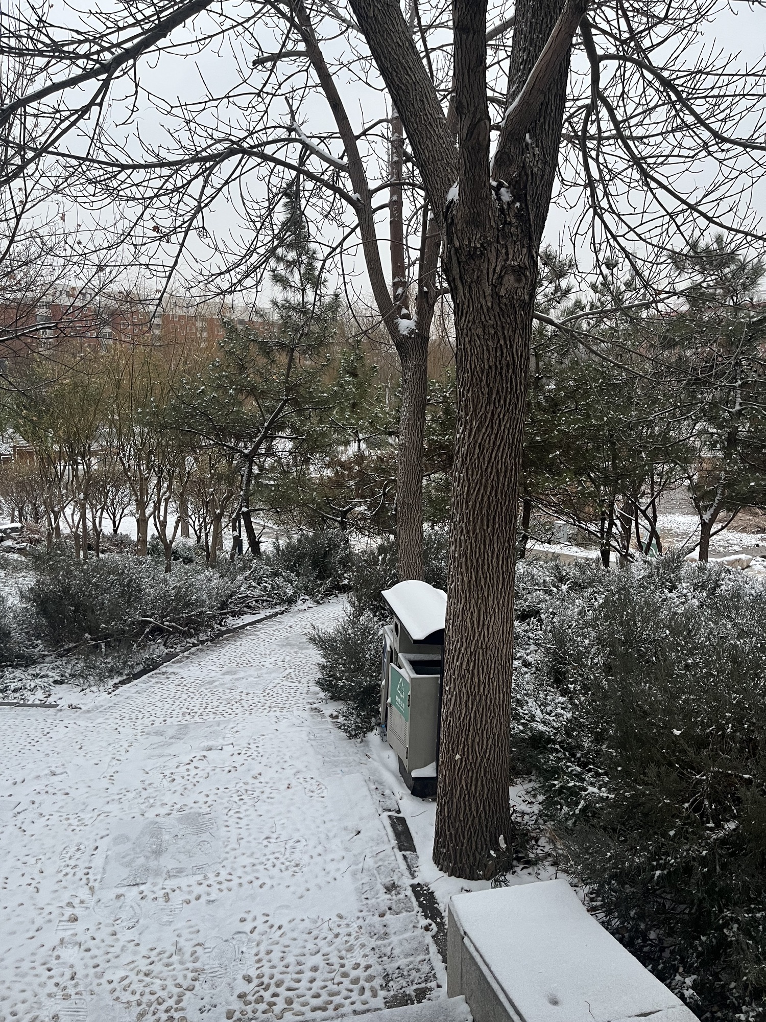 西柳公园旅行图片 3