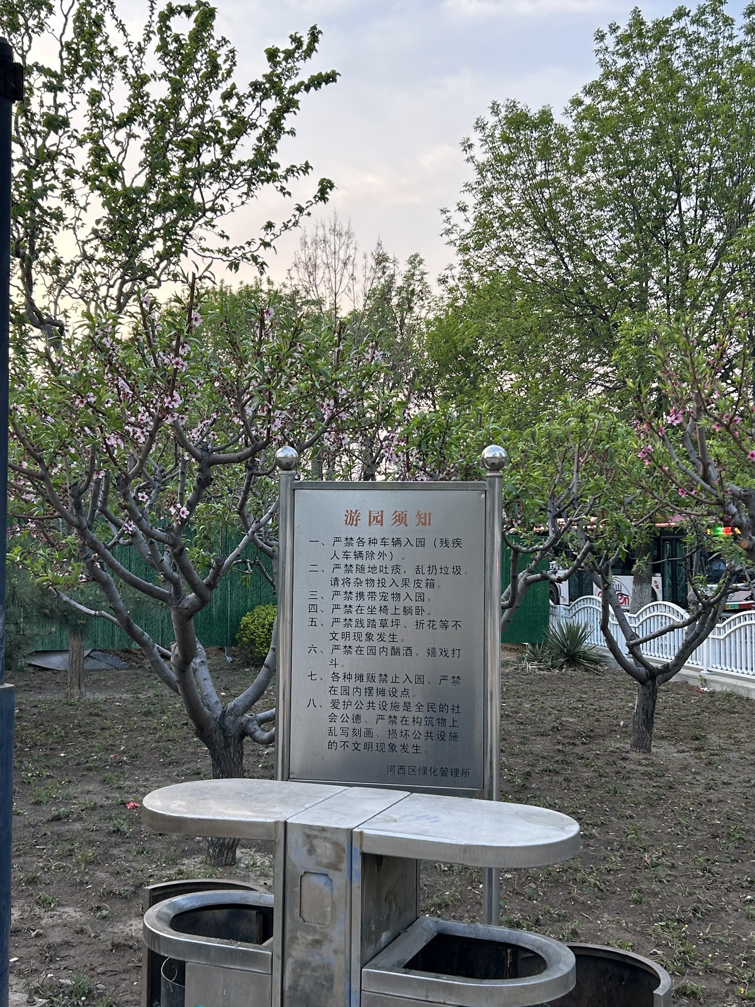 西柳公园旅行图片 2