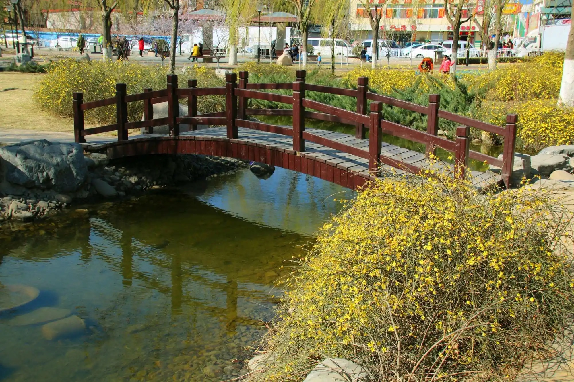 西柳公园旅行图片 2