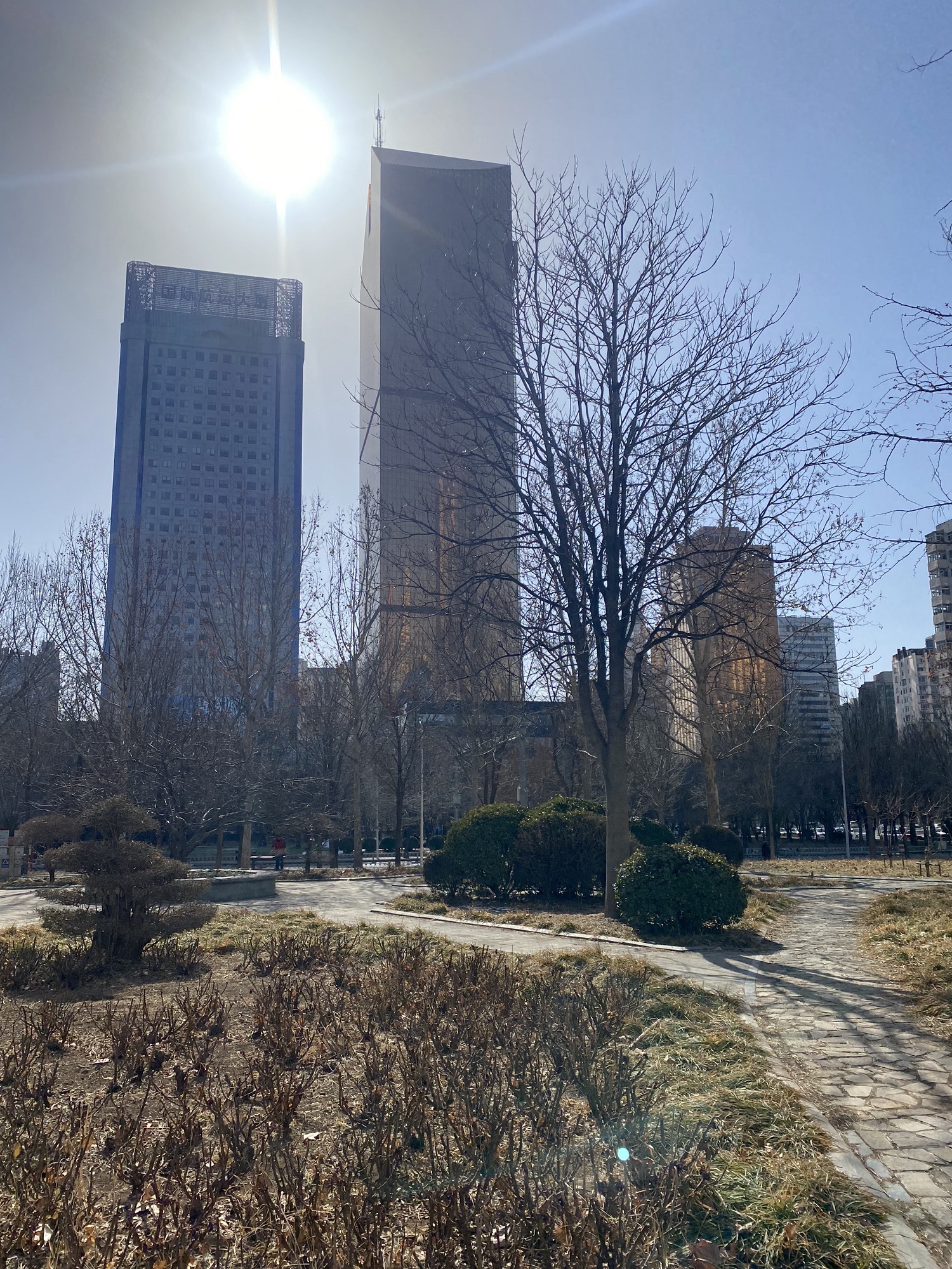 团结公园旅行图片 3