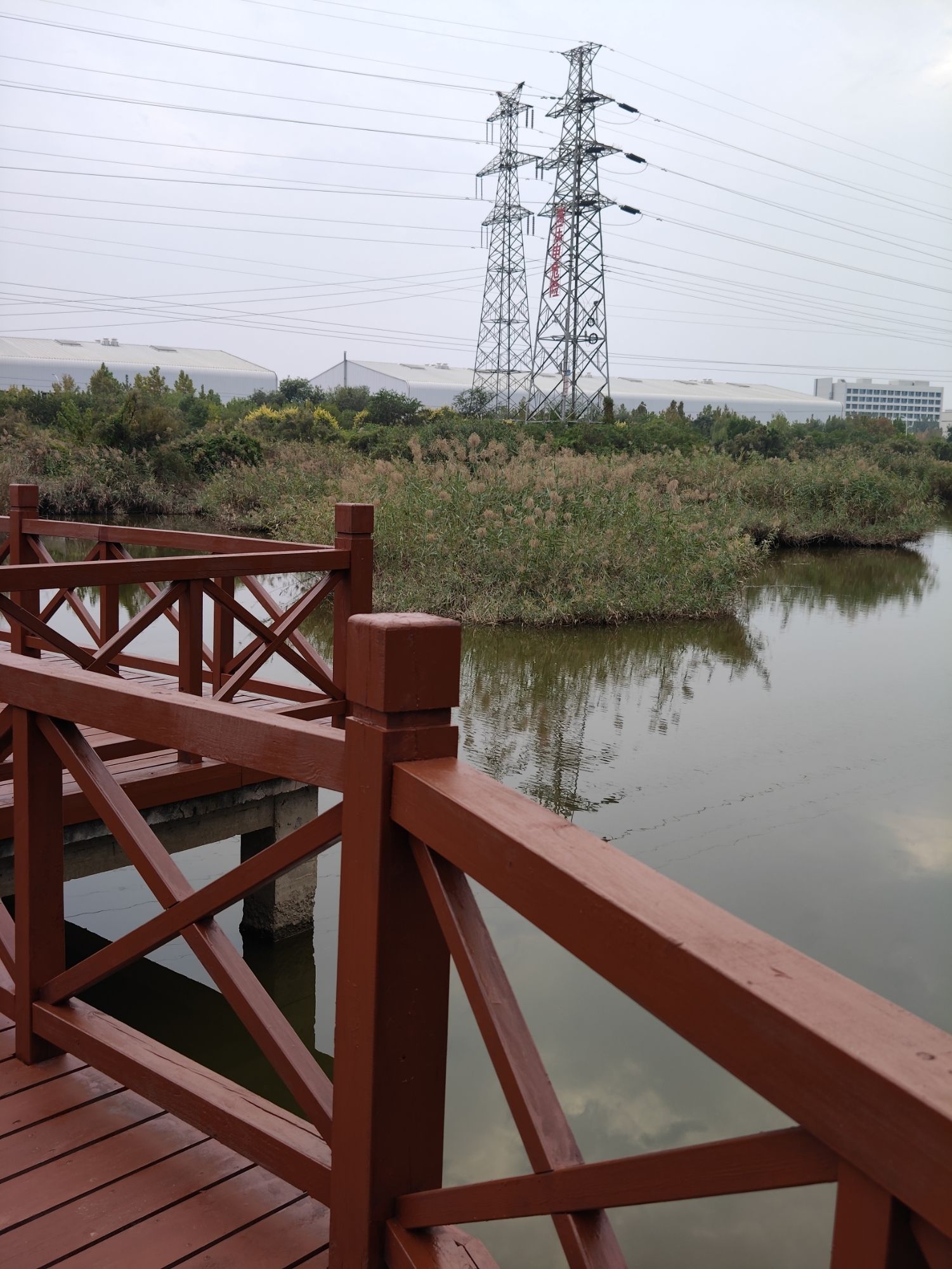 泰达西区湿地公园旅行图片 2