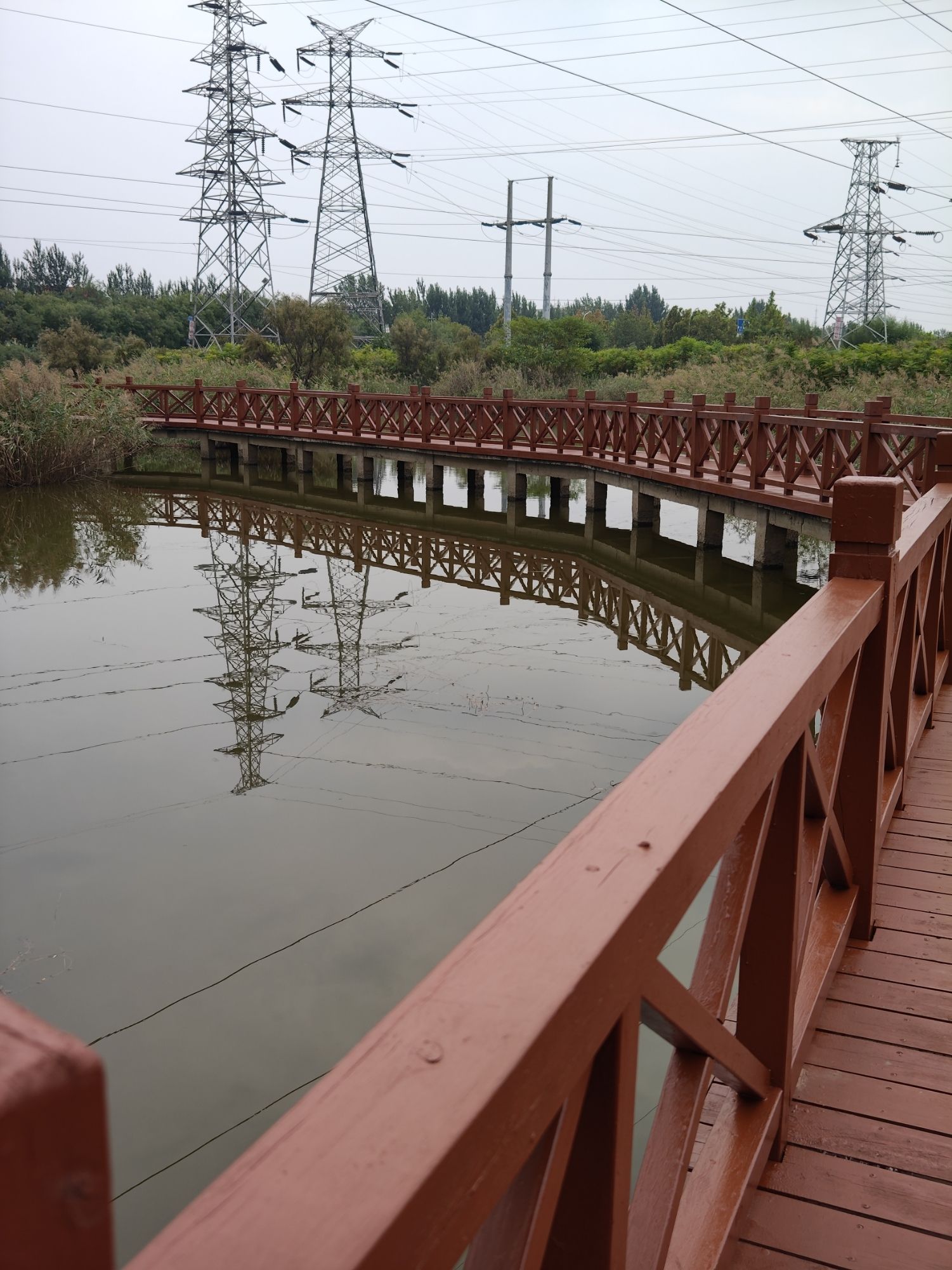 泰达西区湿地公园旅行图片 3
