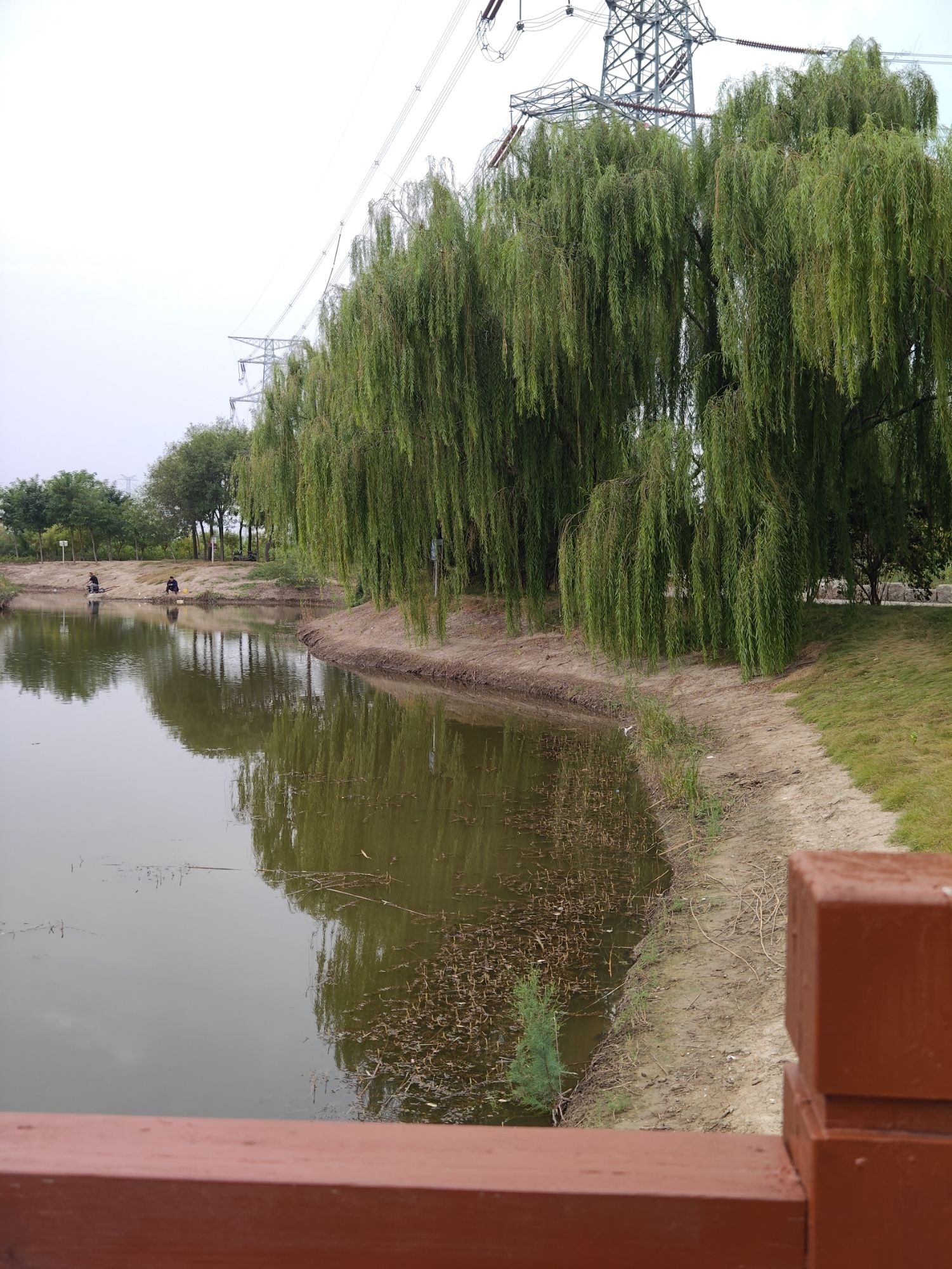 泰达西区湿地公园旅行图片 1