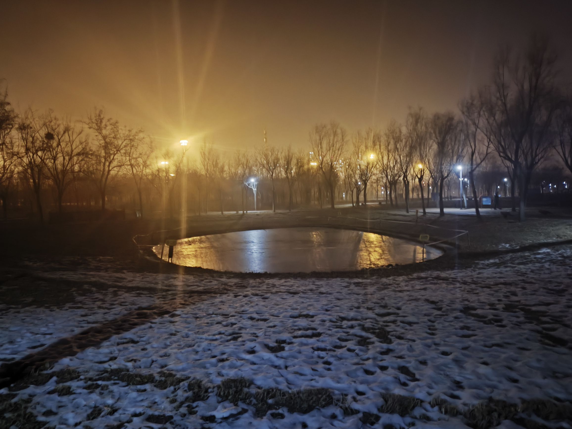 桥园公园旅行图片 3