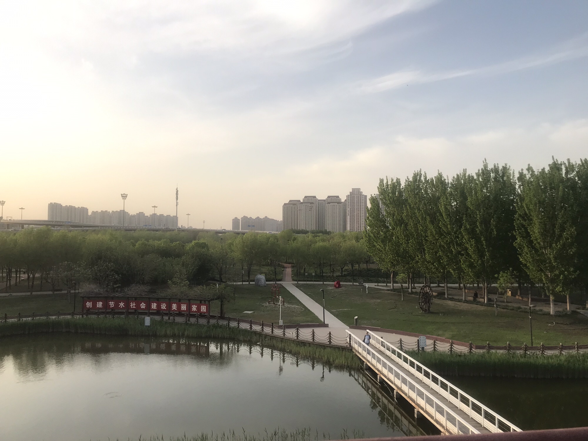 桥园公园旅行图片 1