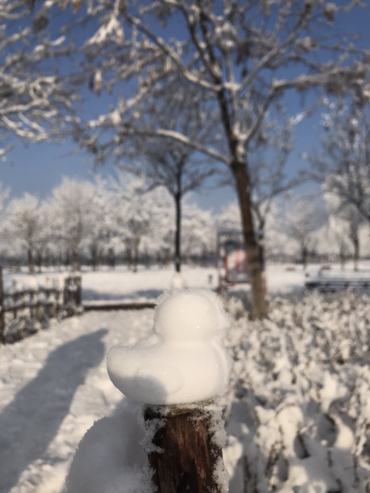 桥园公园旅行图片 3