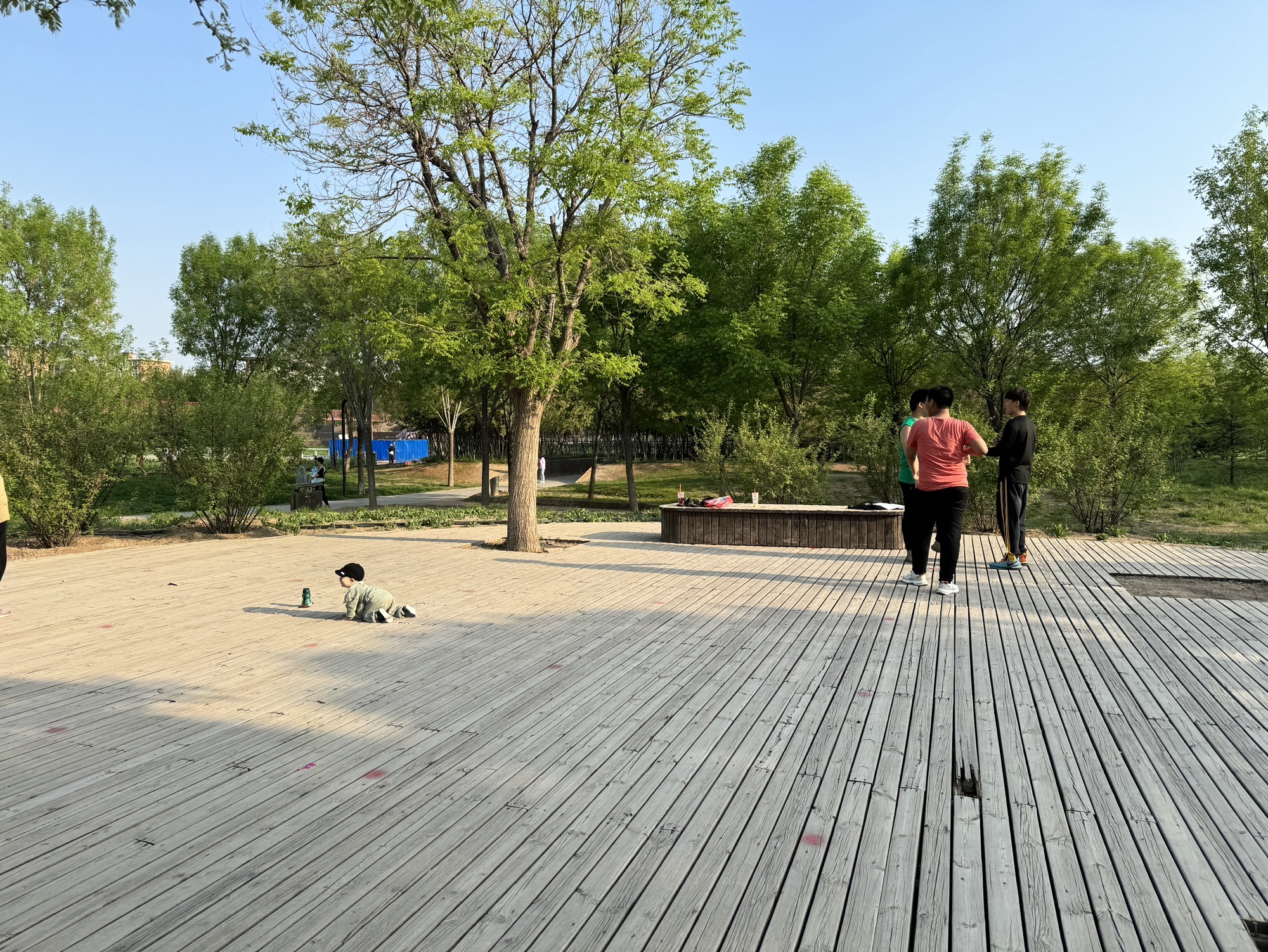 桥园公园旅行图片 2