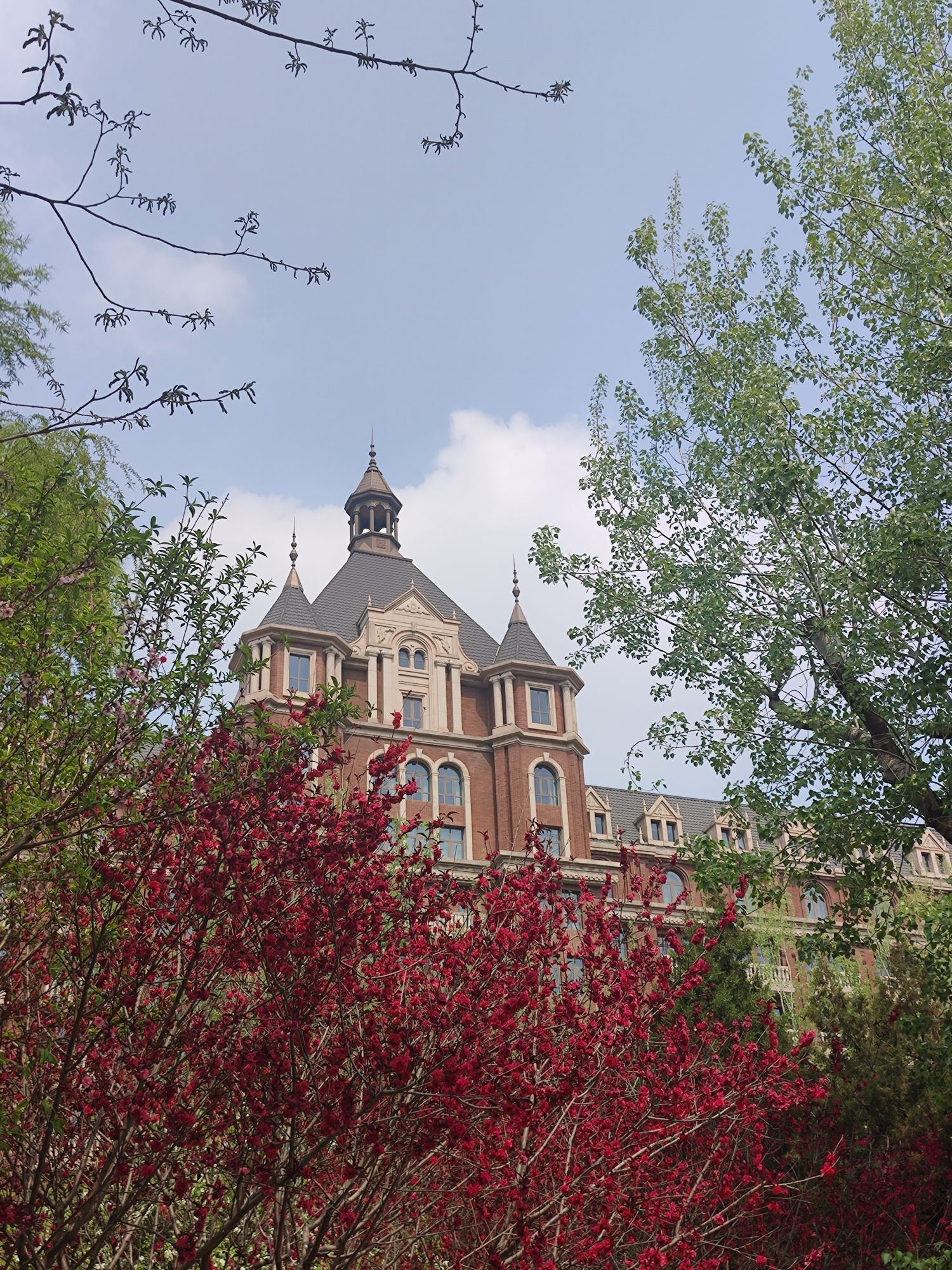 解放北园旅行图片 2