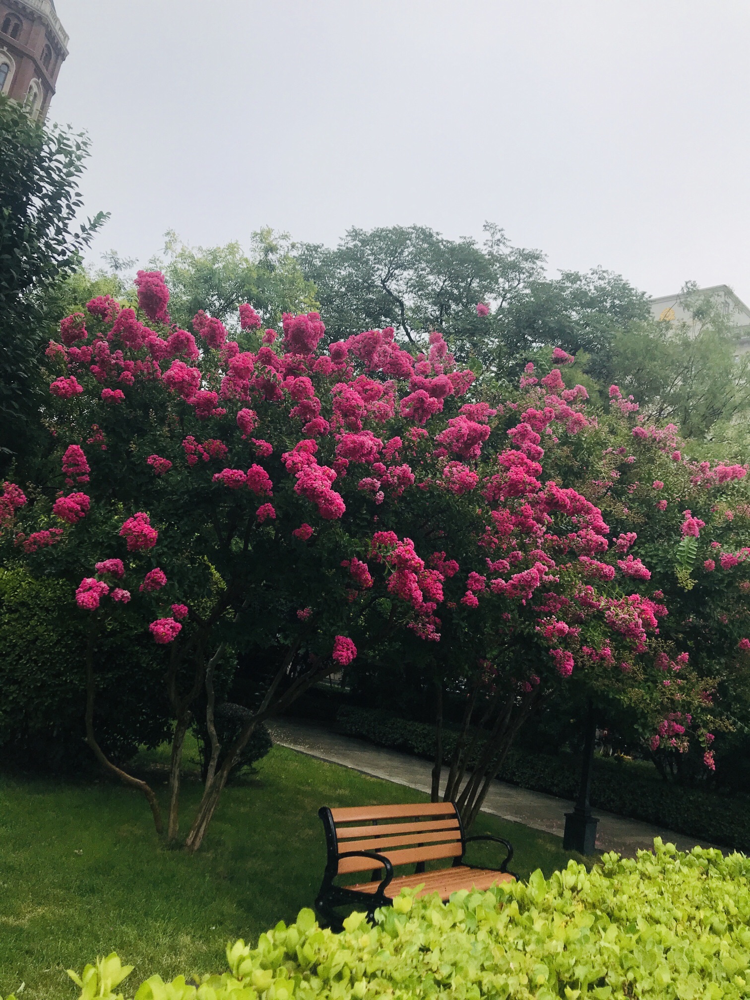 解放北园旅行图片 1