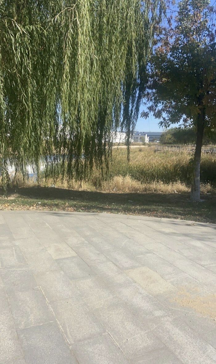 张家窝镇滨河公园旅行图片 3