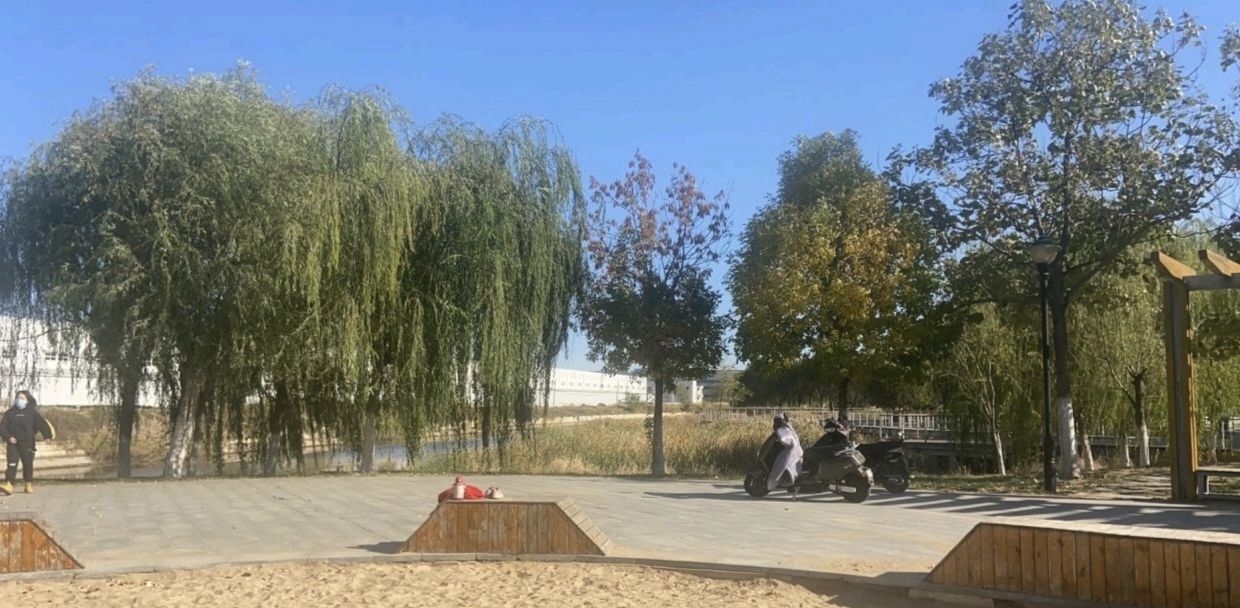张家窝镇滨河公园旅行图片 1