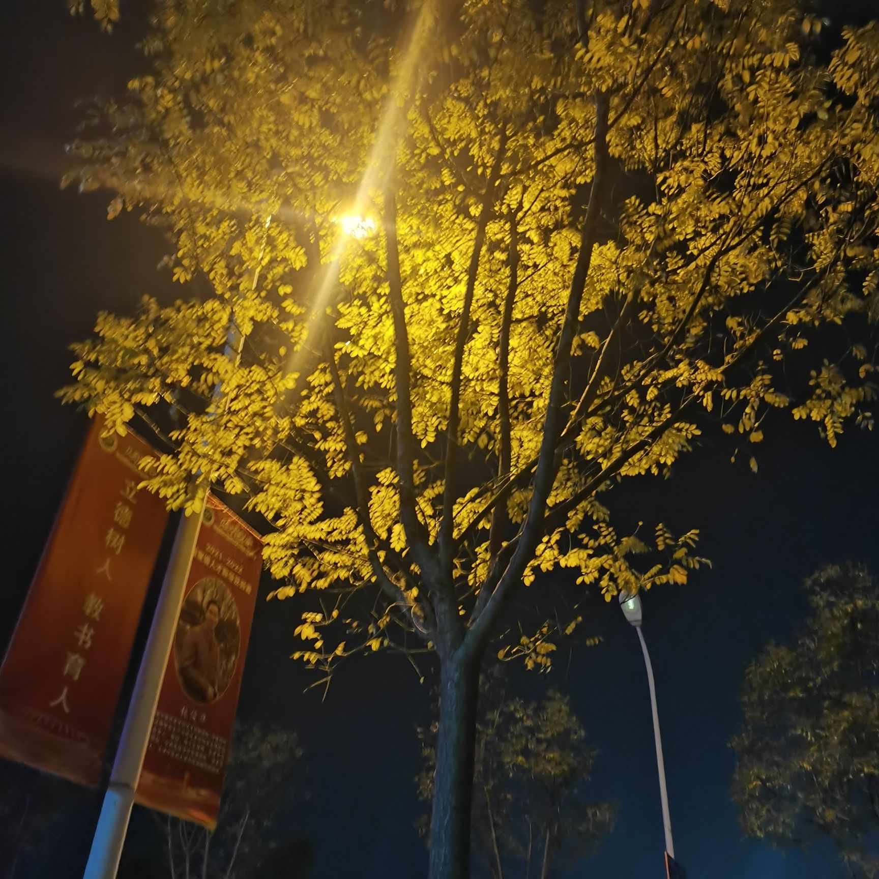 翠湖公园旅行图片 1