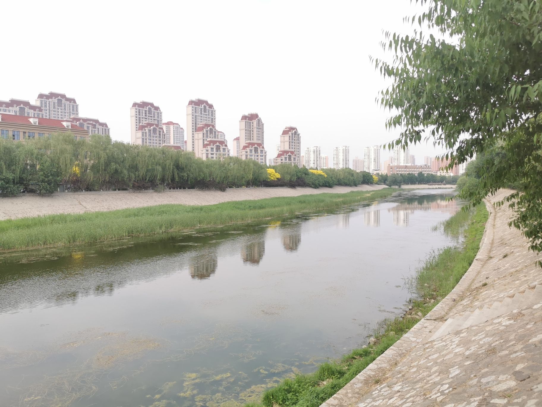 北洋园旅行图片 1