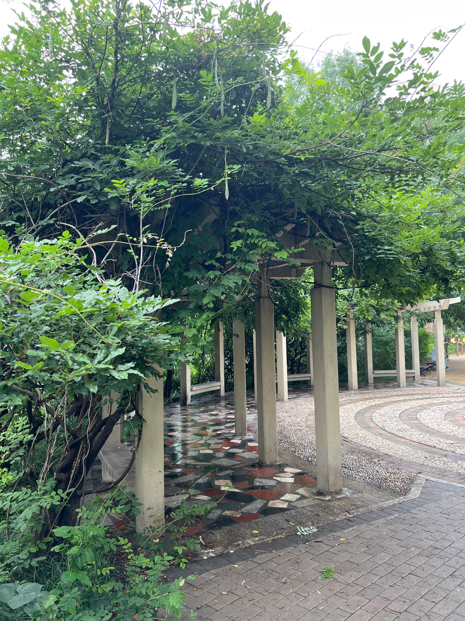 双拥园旅行图片 3