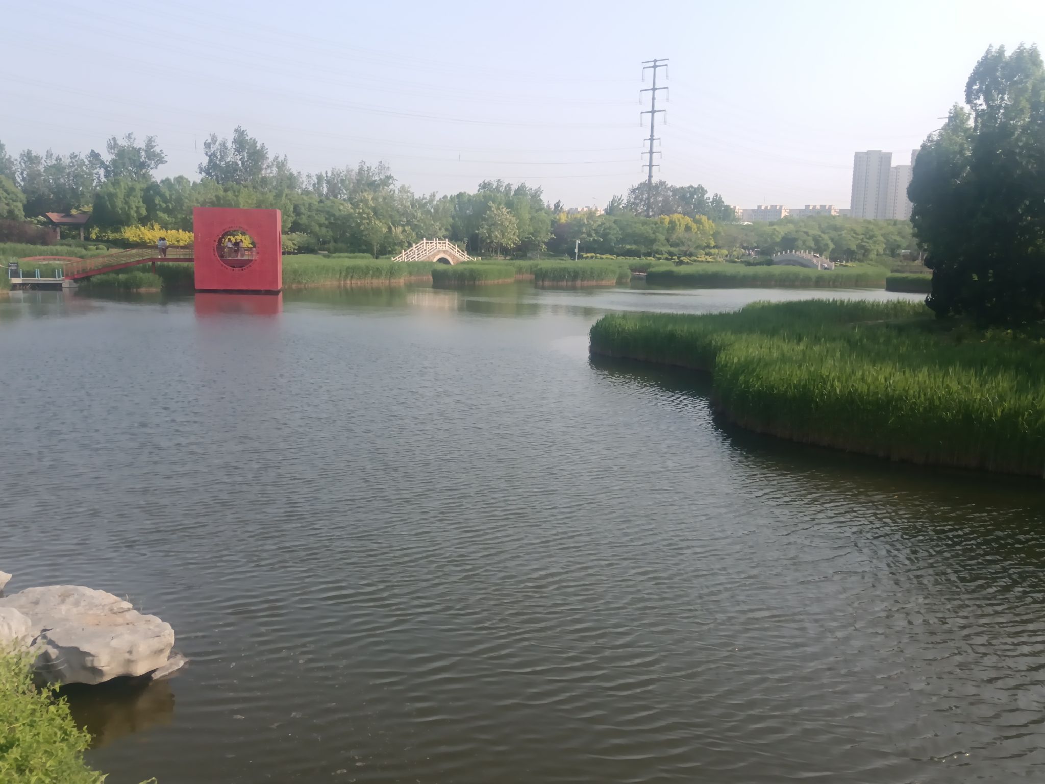 天津临港生态湿地公园旅行图片 1