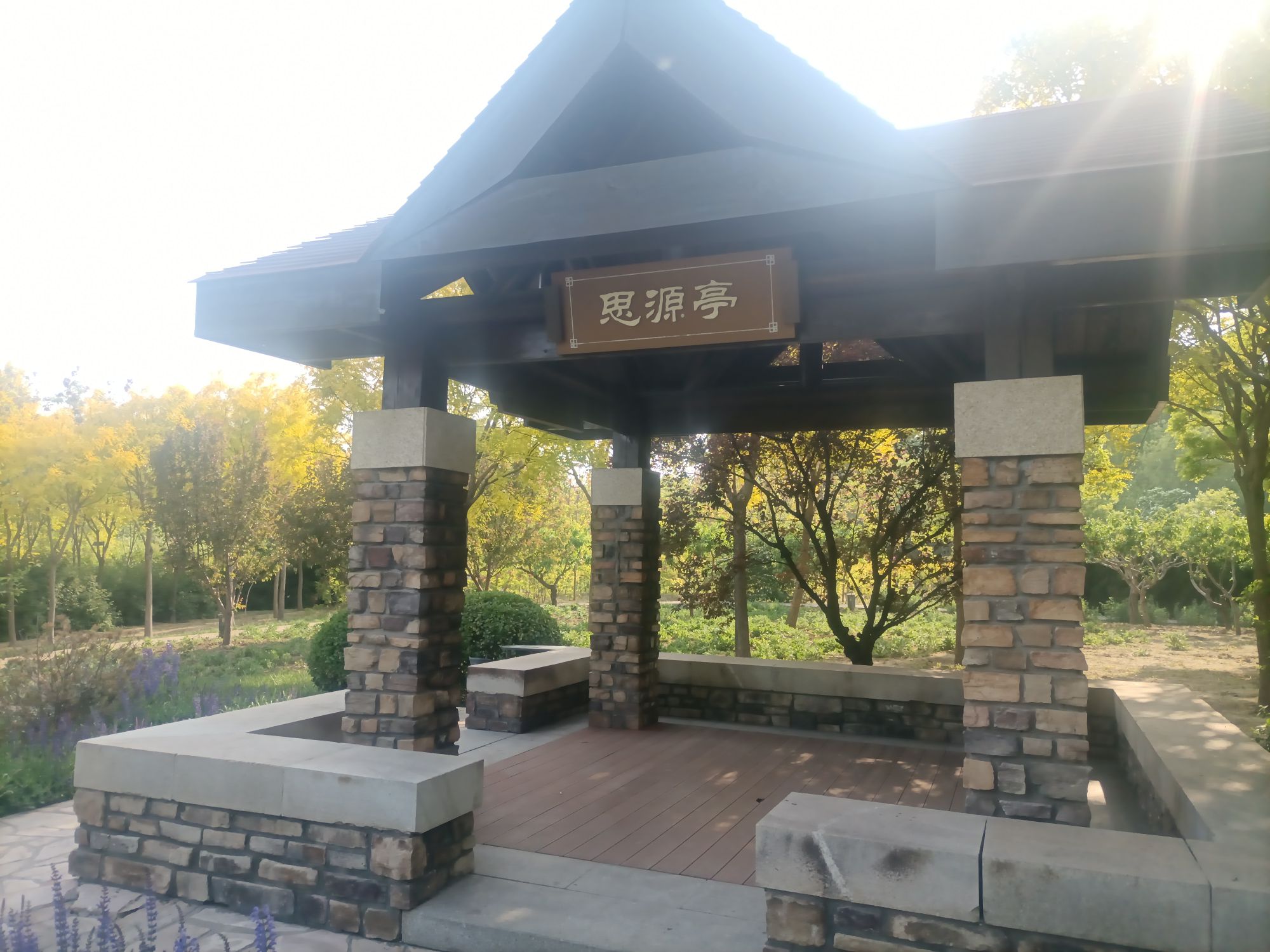 天津临港生态湿地公园旅行图片 3