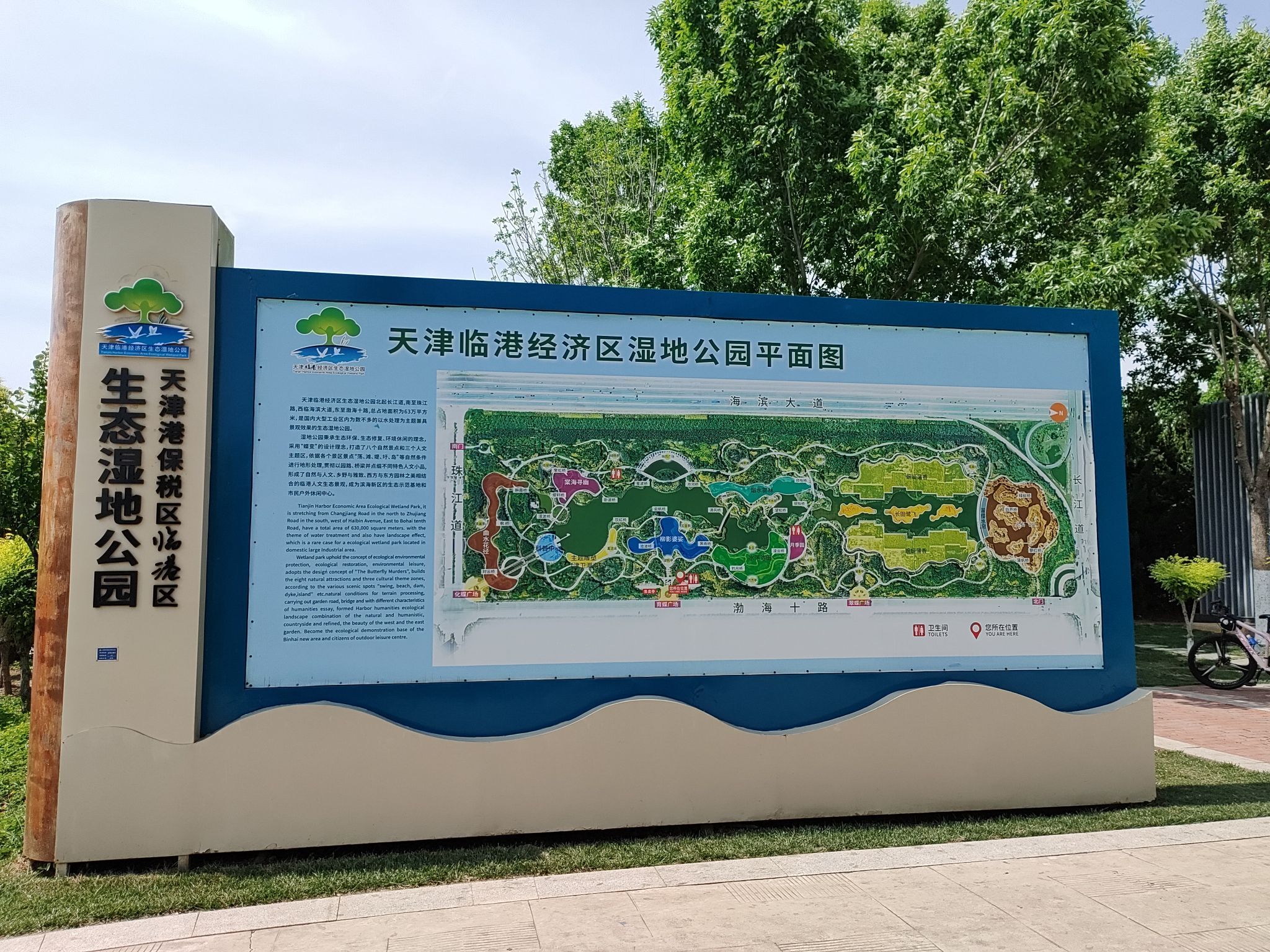天津临港生态湿地公园