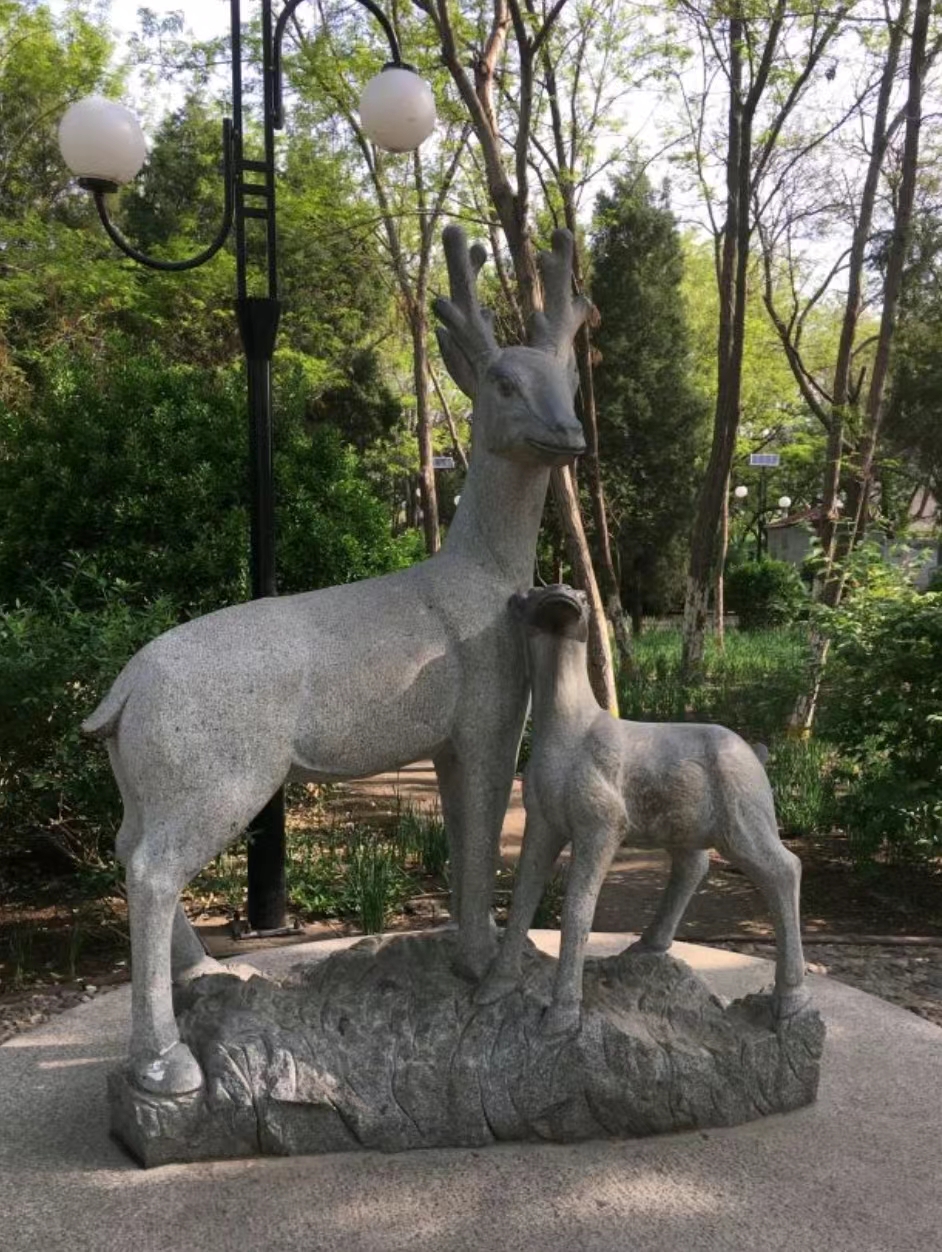 槐荫园旅行图片 1