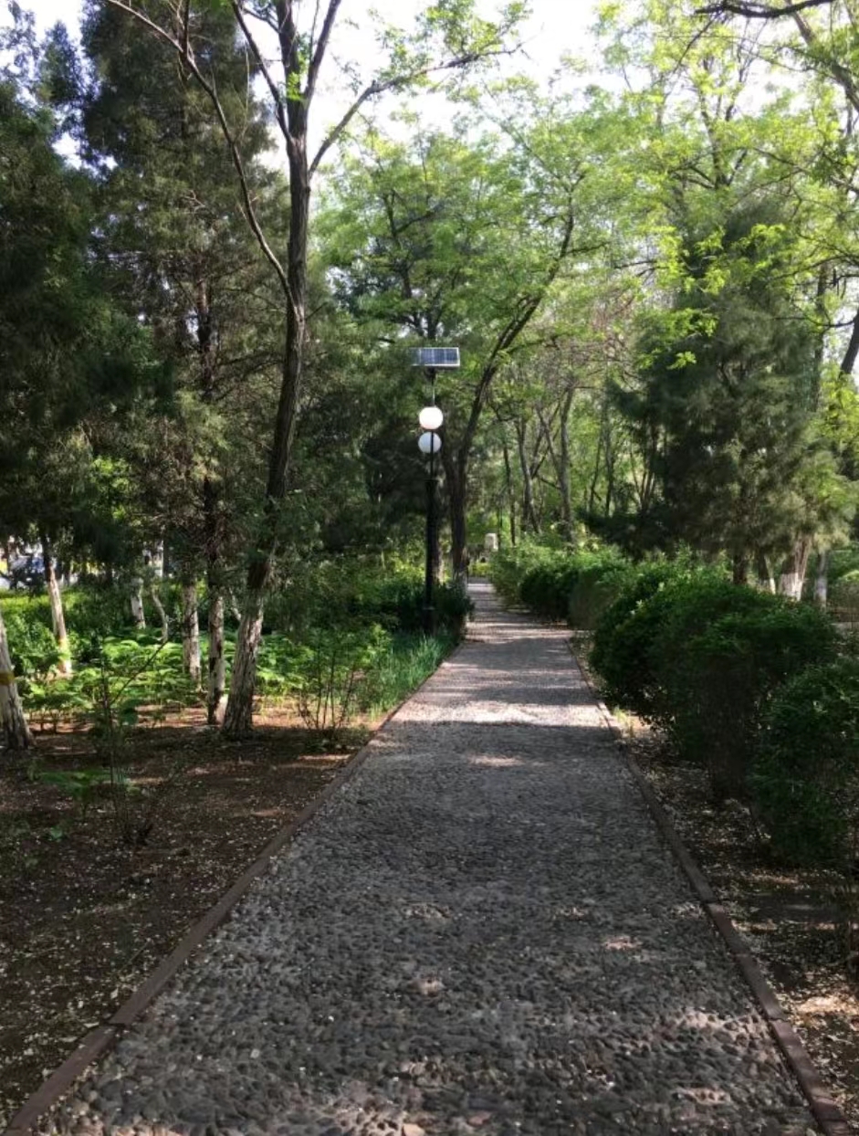 槐荫园旅行图片 2