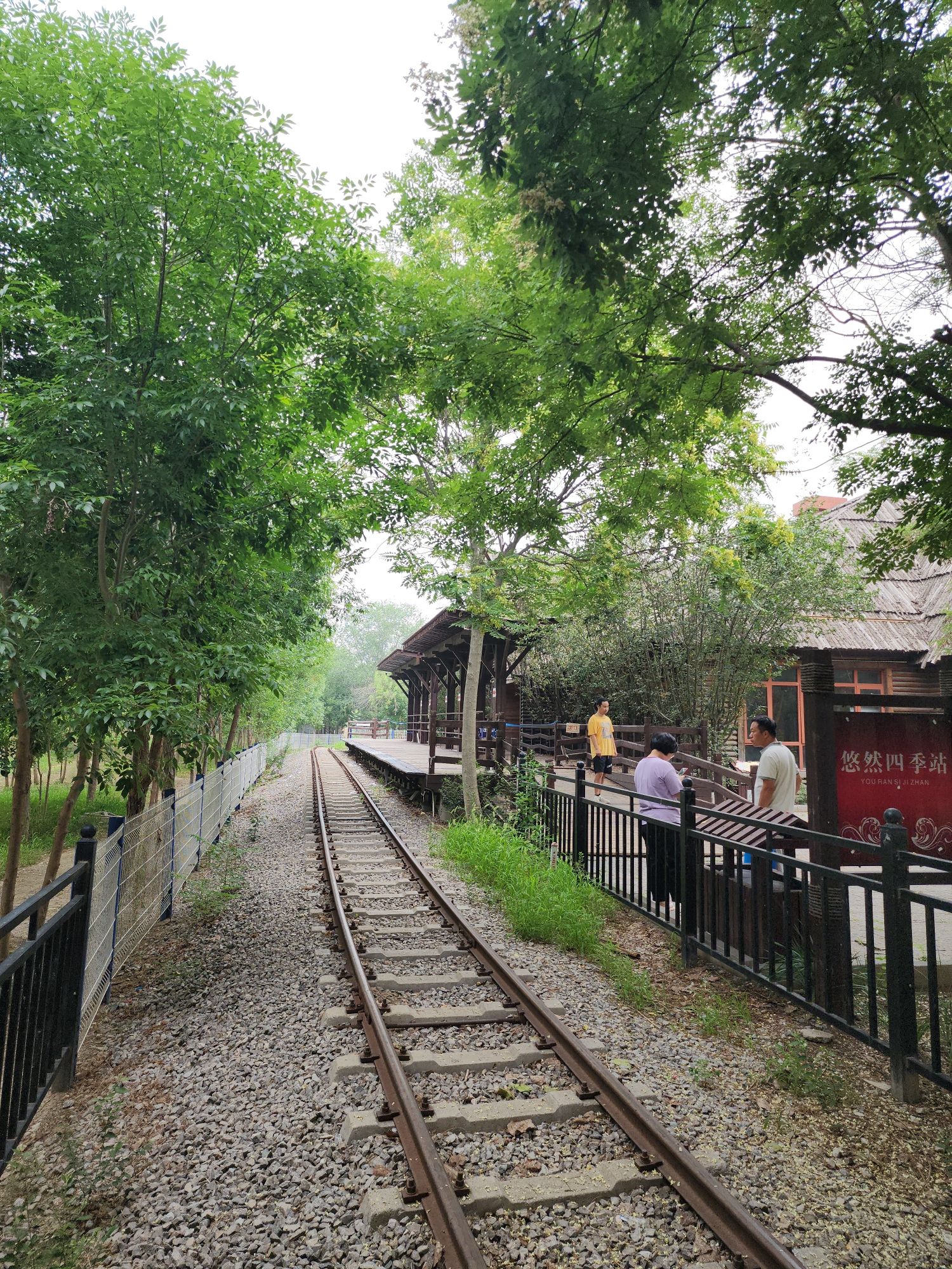 西青郊野公园旅行图片 3