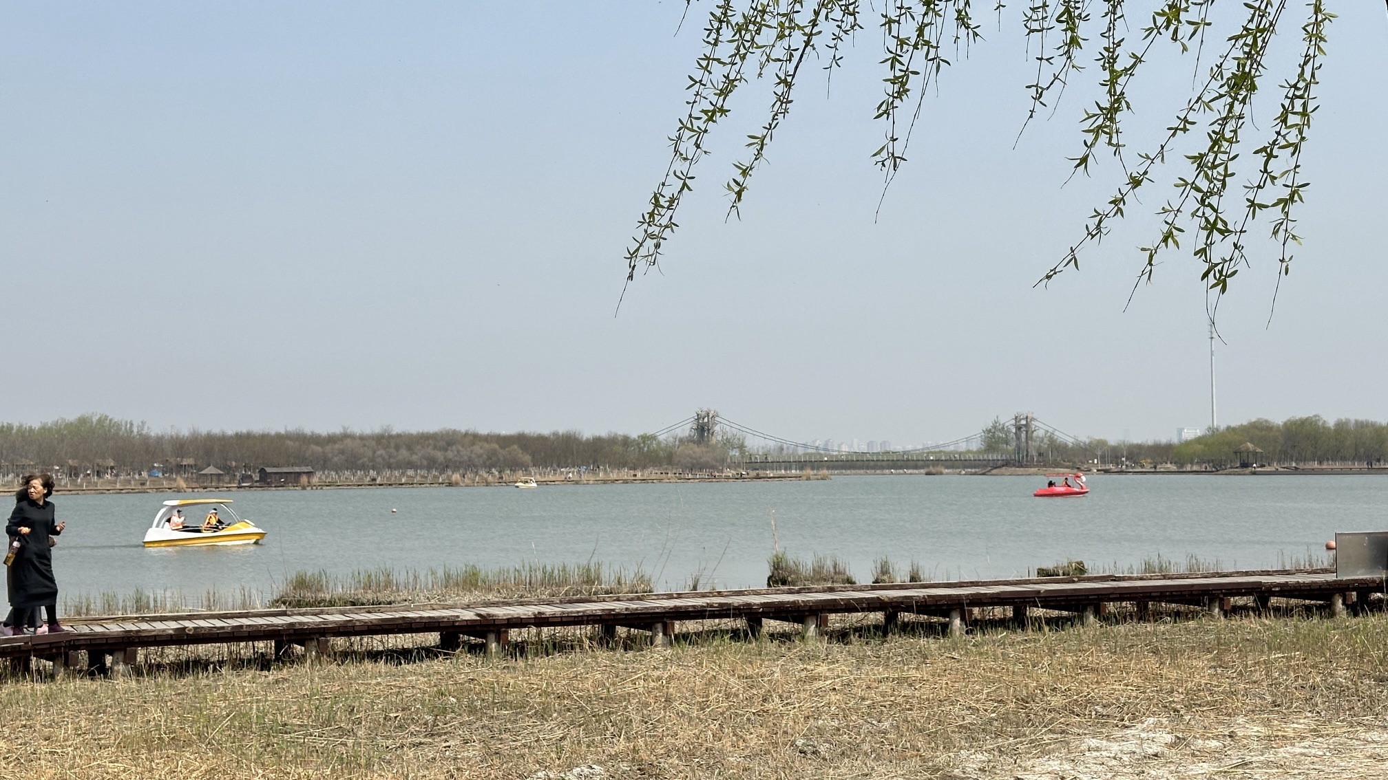 西青郊野公园旅行图片 3