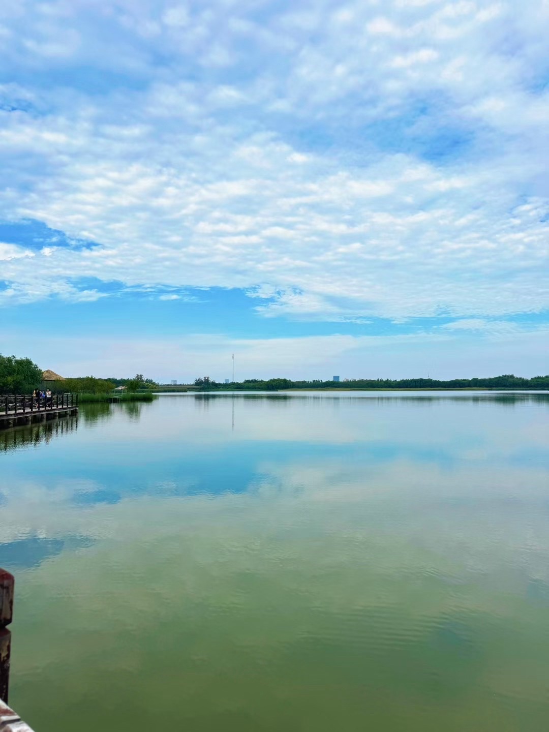 西青郊野公园旅行图片 3