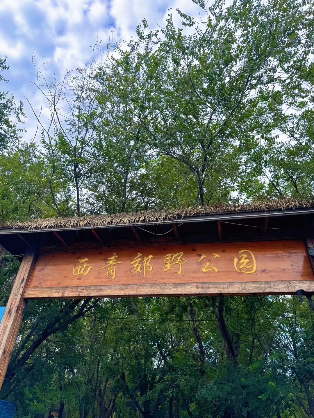 西青郊野公园旅行图片 1