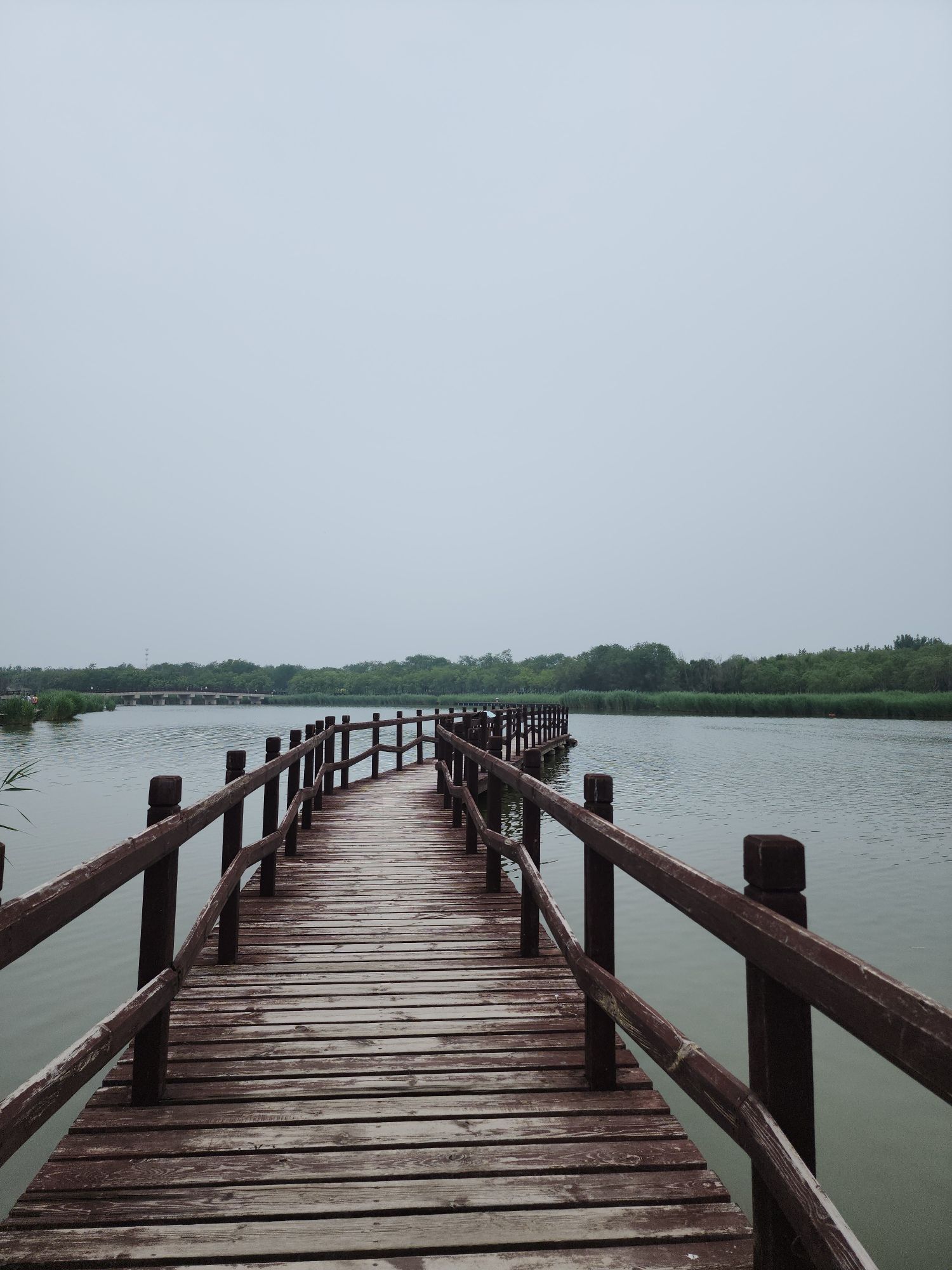 西青郊野公园旅行图片 2