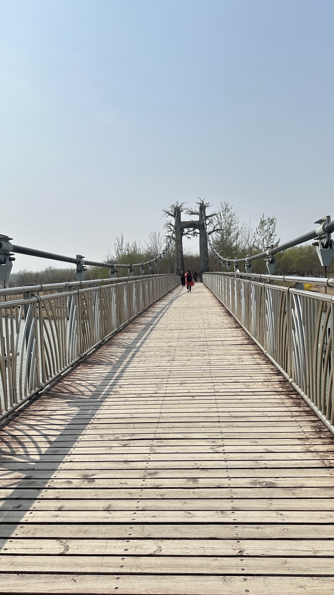 西青郊野公园旅行图片 2