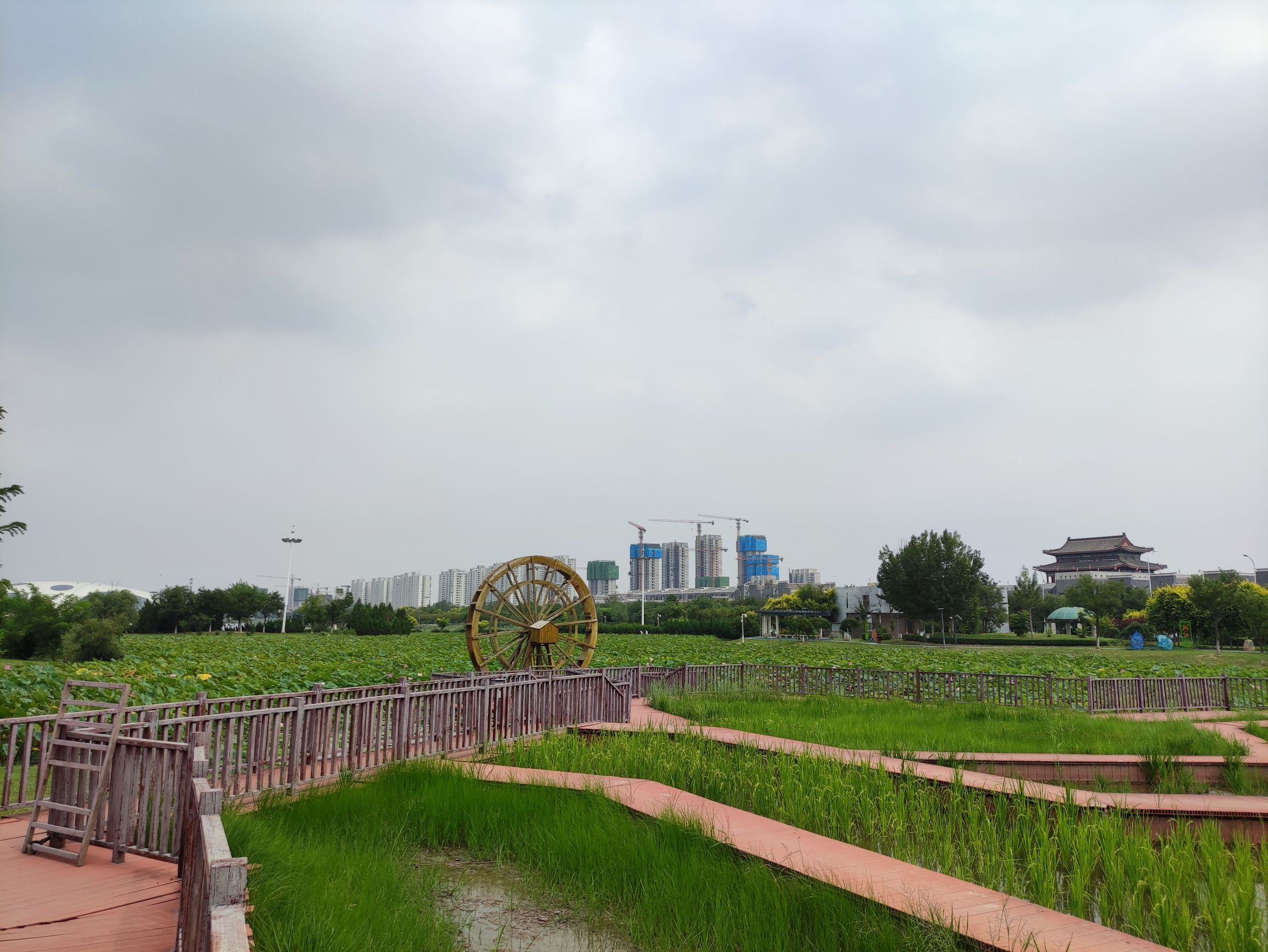津南·小站钻石公园旅行图片 1