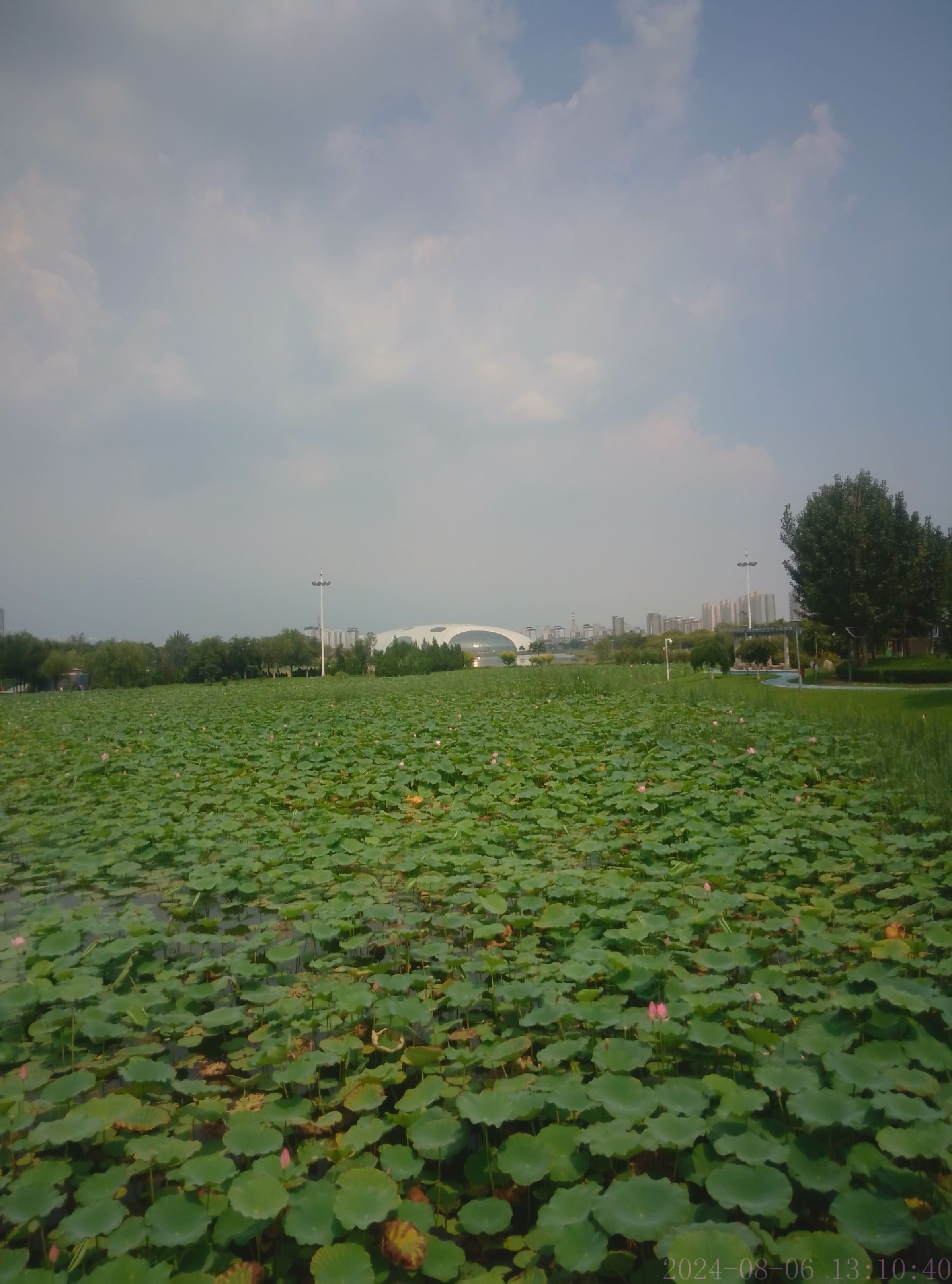津南·小站钻石公园旅行图片 1