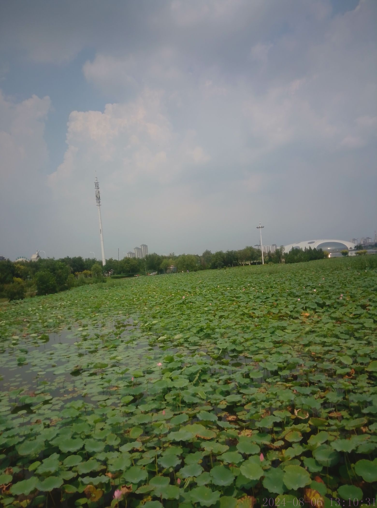 津南·小站钻石公园旅行图片 3