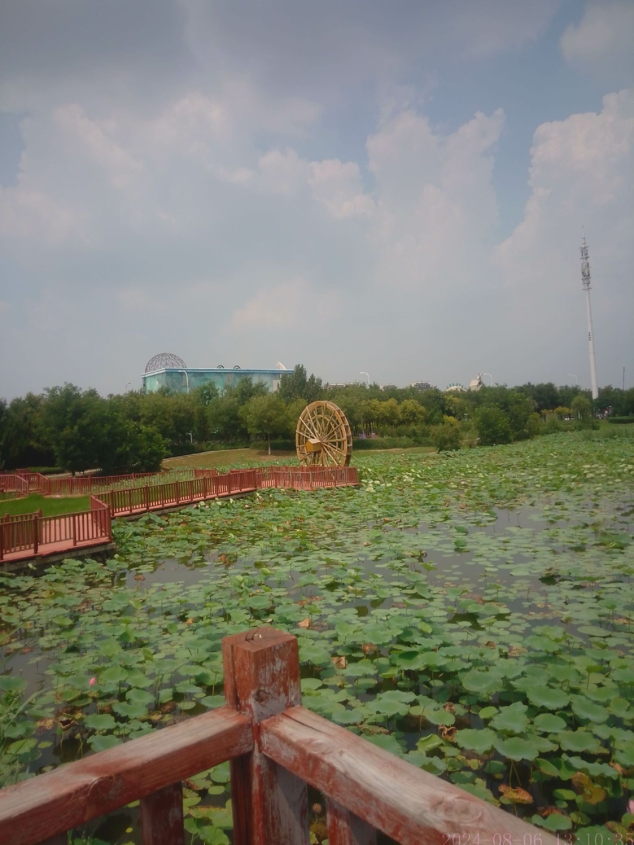 津南·小站钻石公园旅行图片 2
