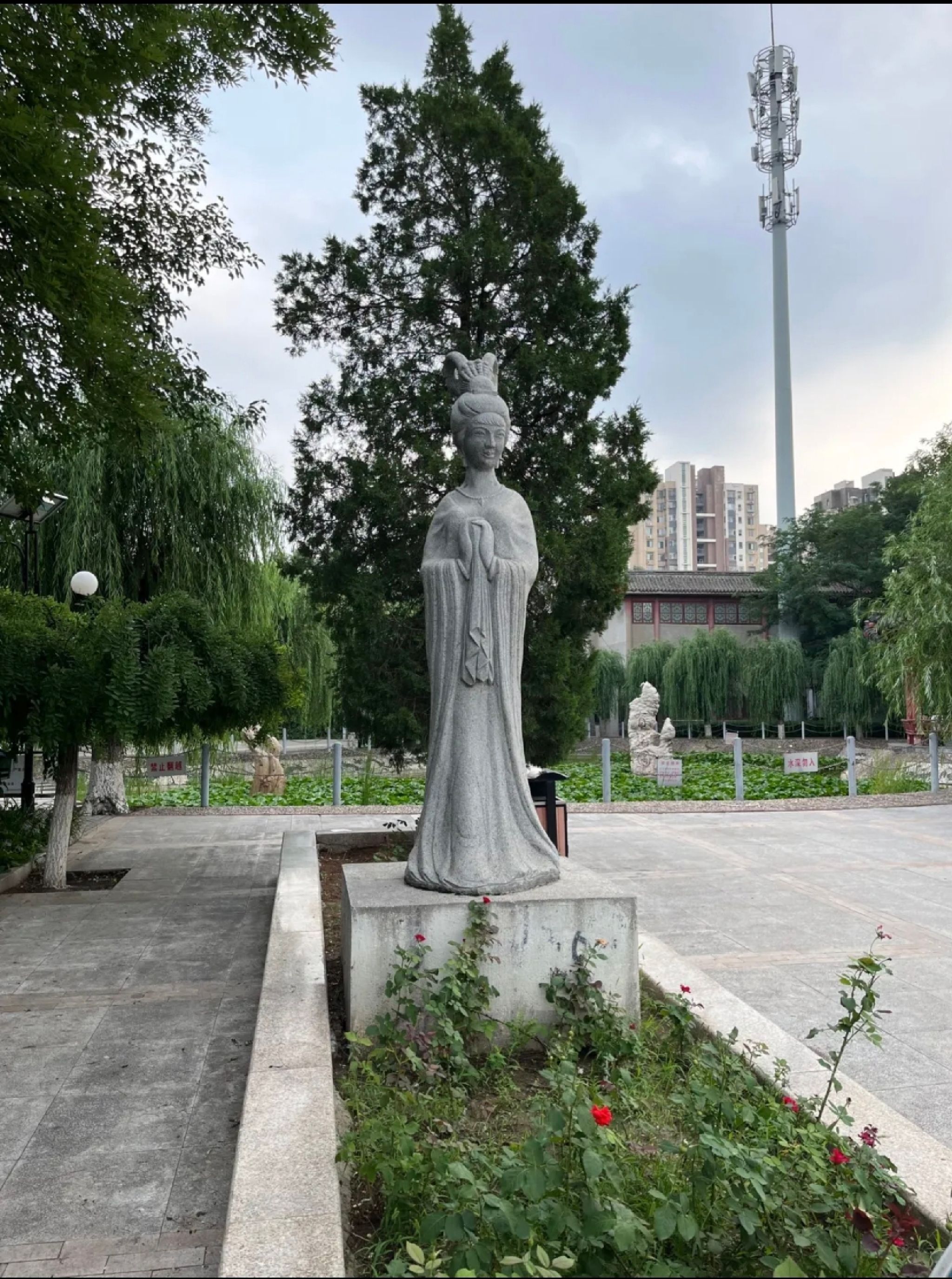 有龙园旅行图片 1