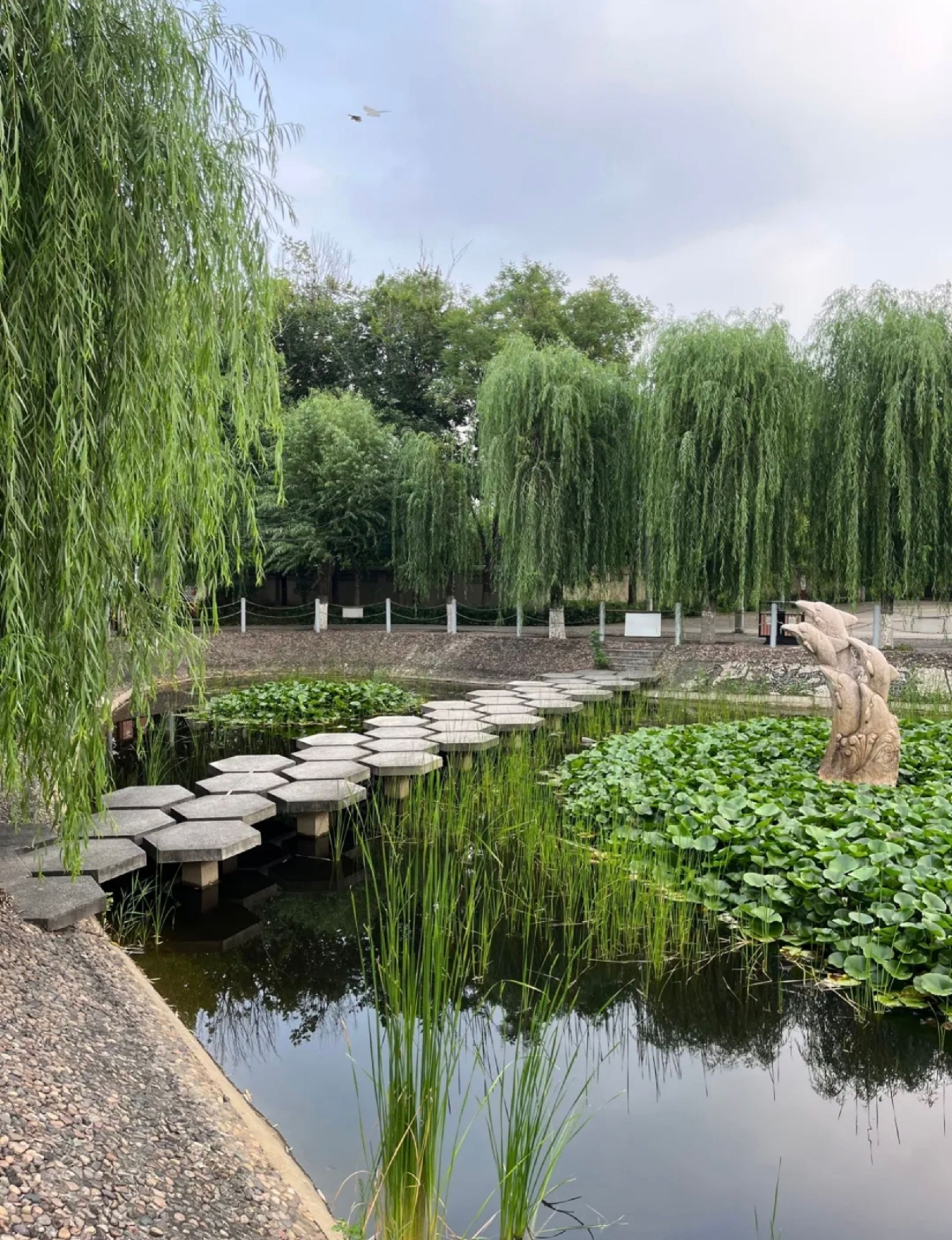 有龙园旅行图片 3
